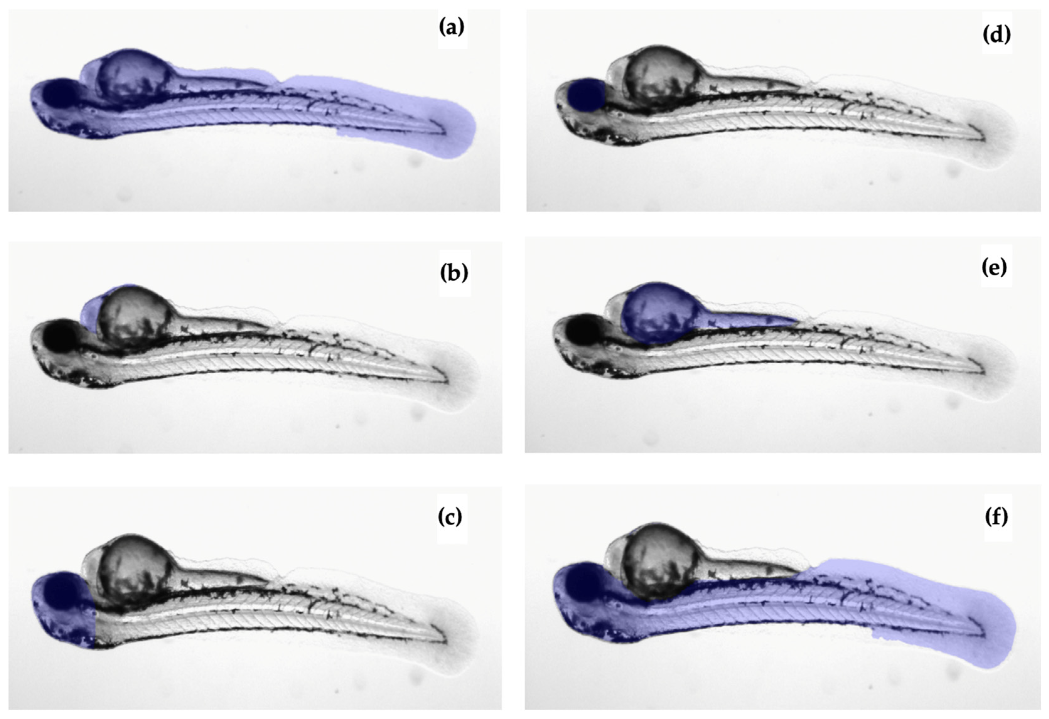 Jimaging 10 00290 g005