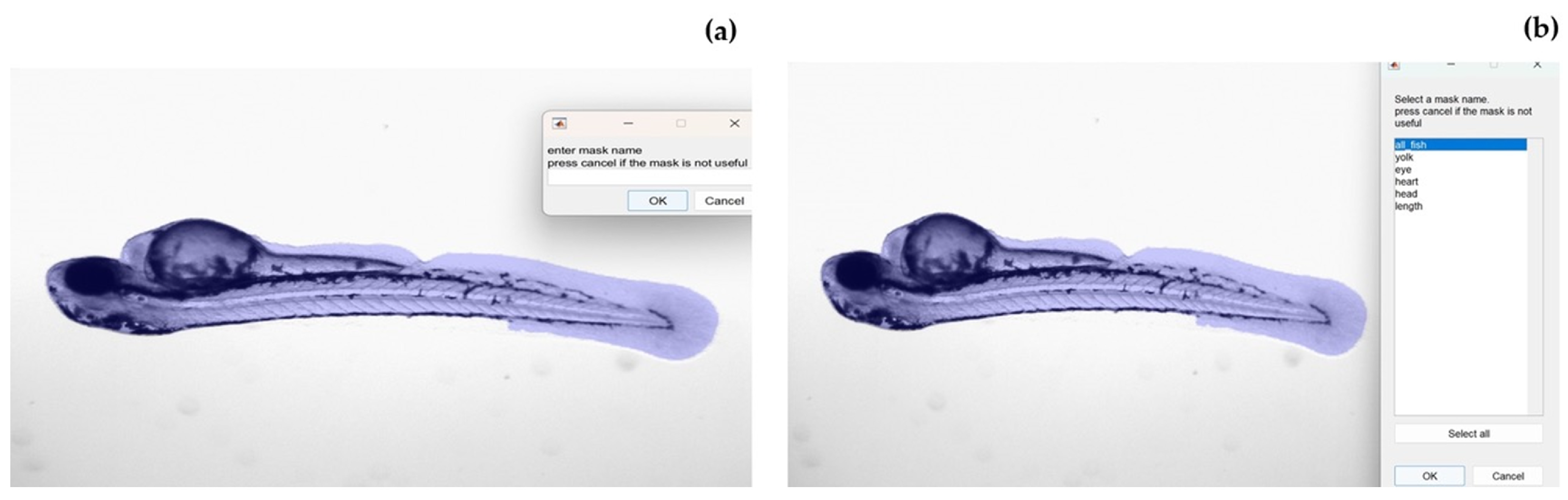 Jimaging 10 00290 g006
