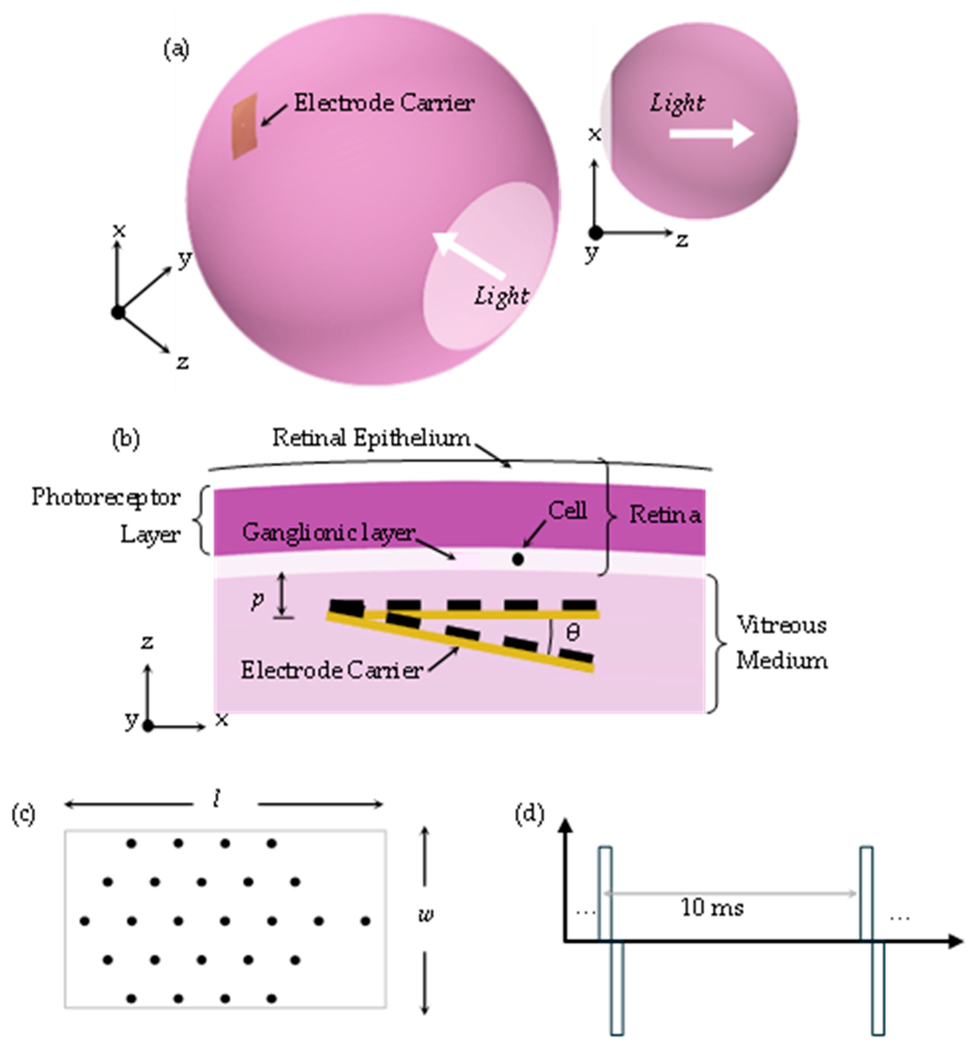 Jimaging 10 00294 g002