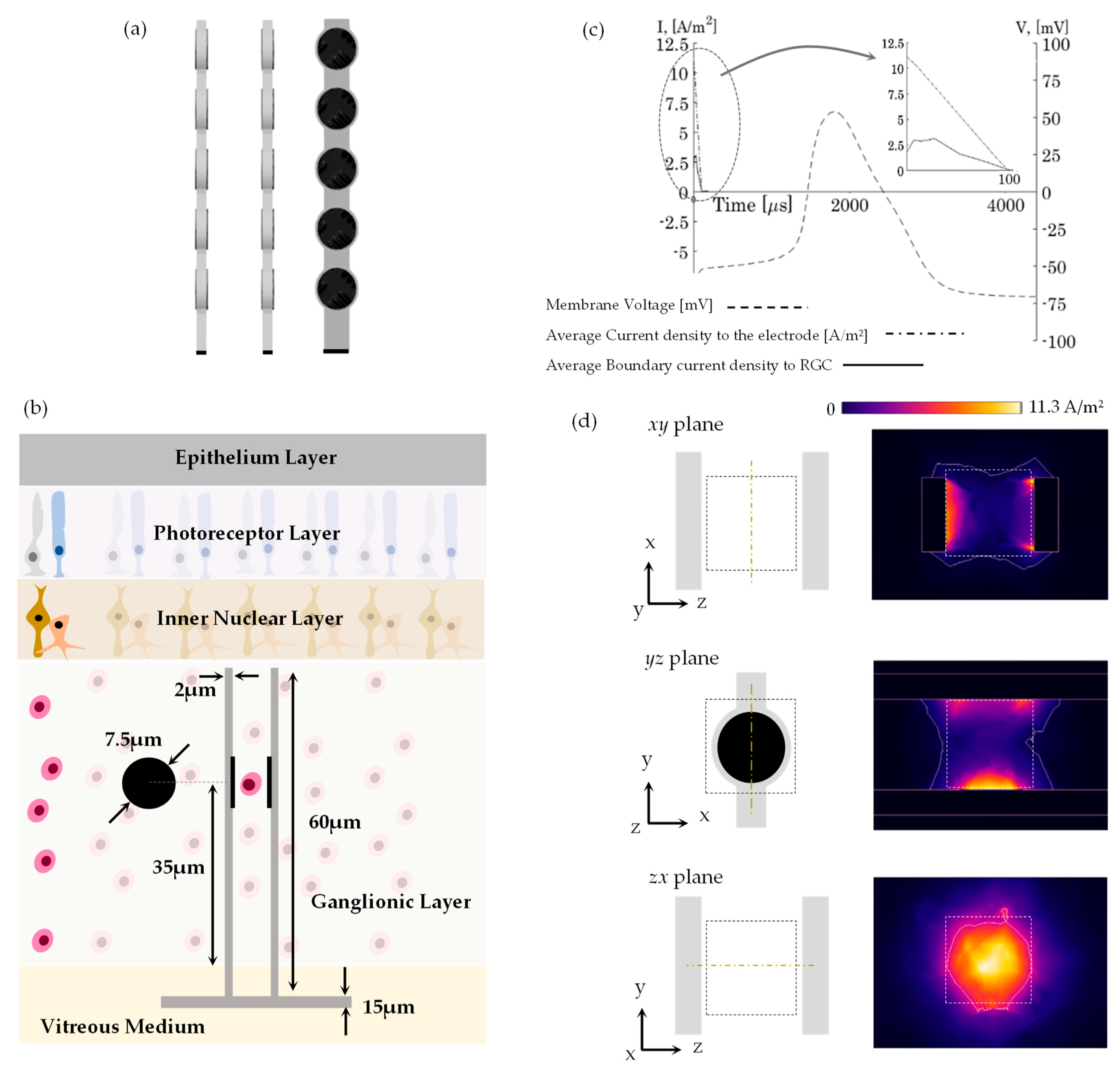 Jimaging 10 00294 g003