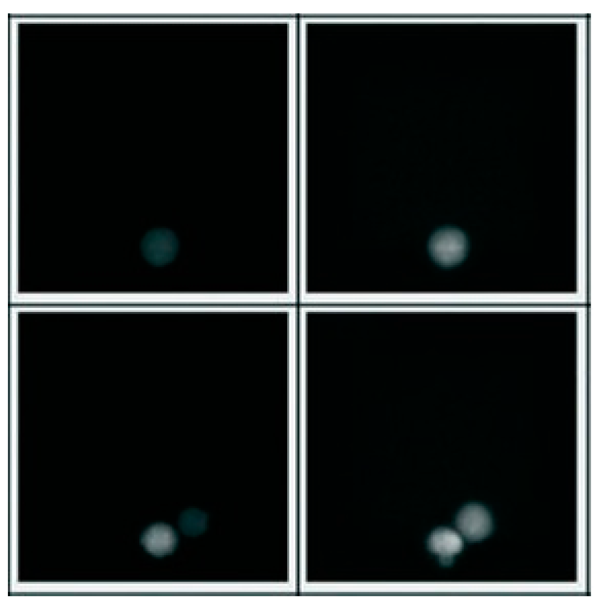 Jimaging 10 00295 g003