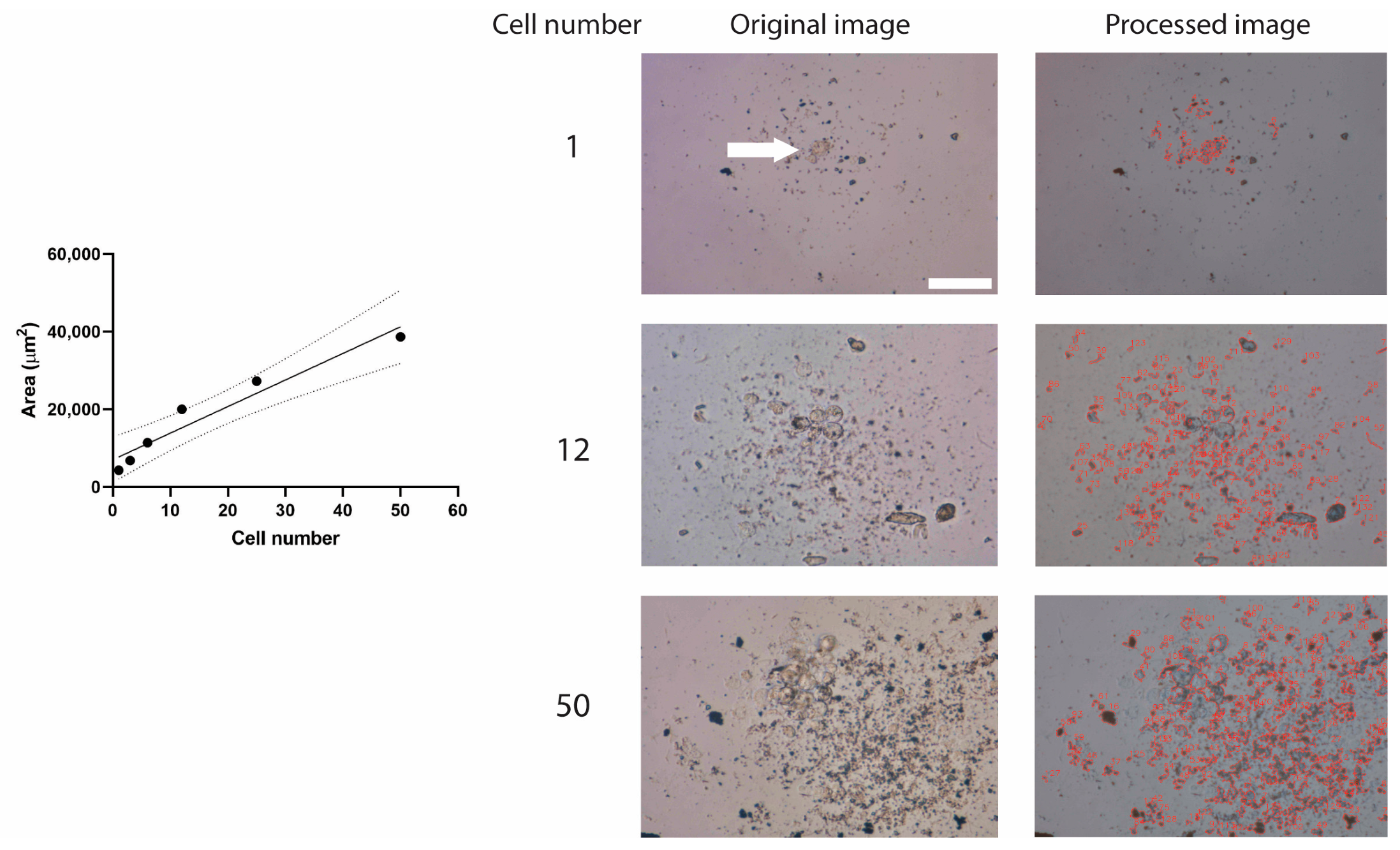 Jimaging 10 00295 g005