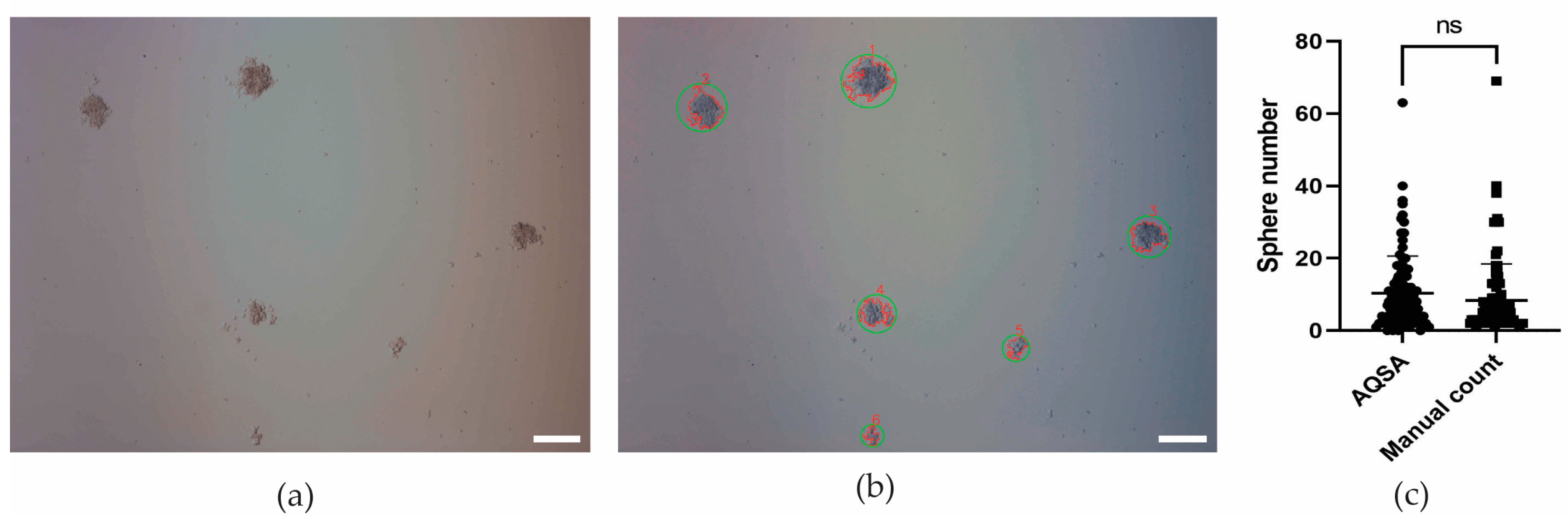 Jimaging 10 00295 g006