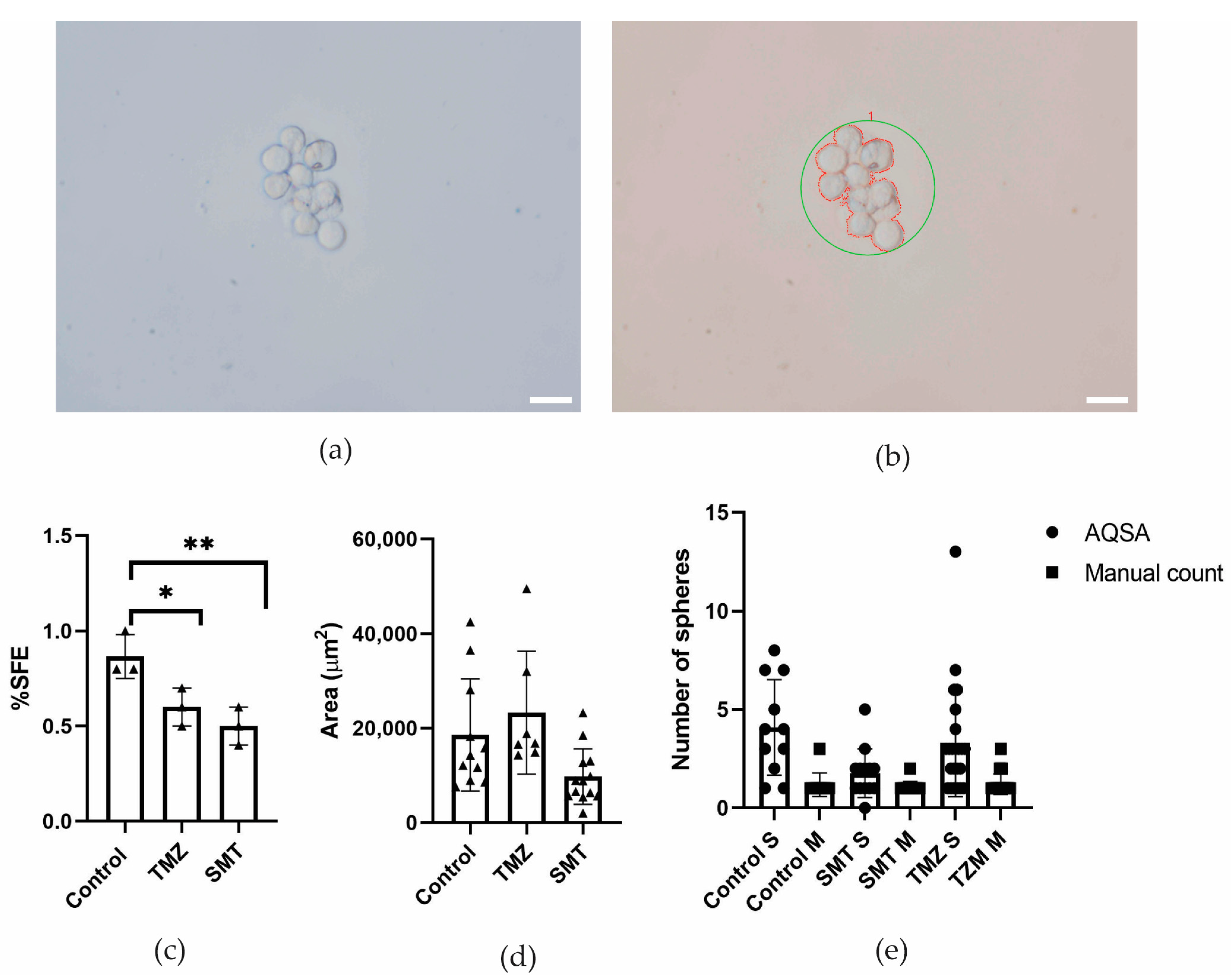 Jimaging 10 00295 g008