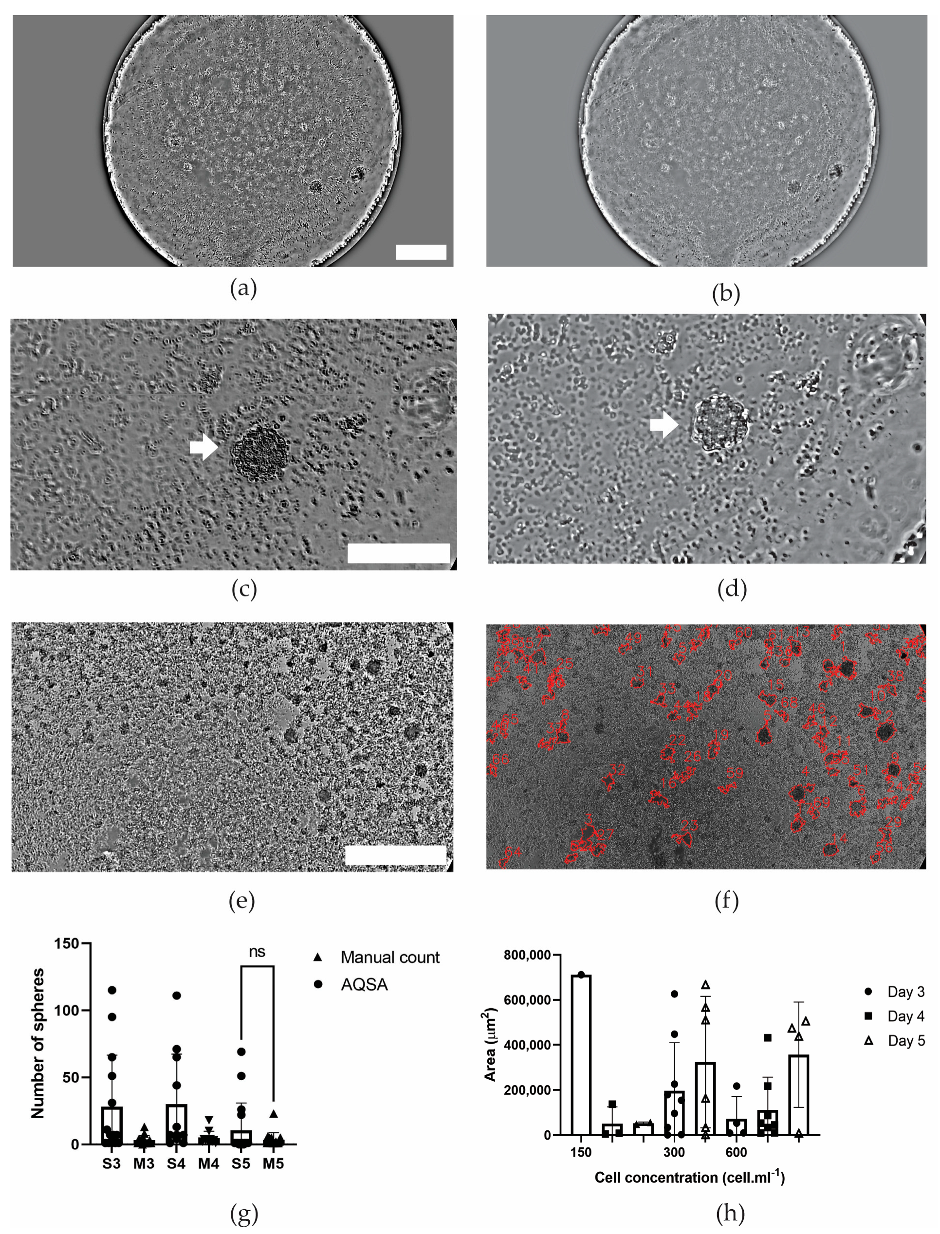 Jimaging 10 00295 g009