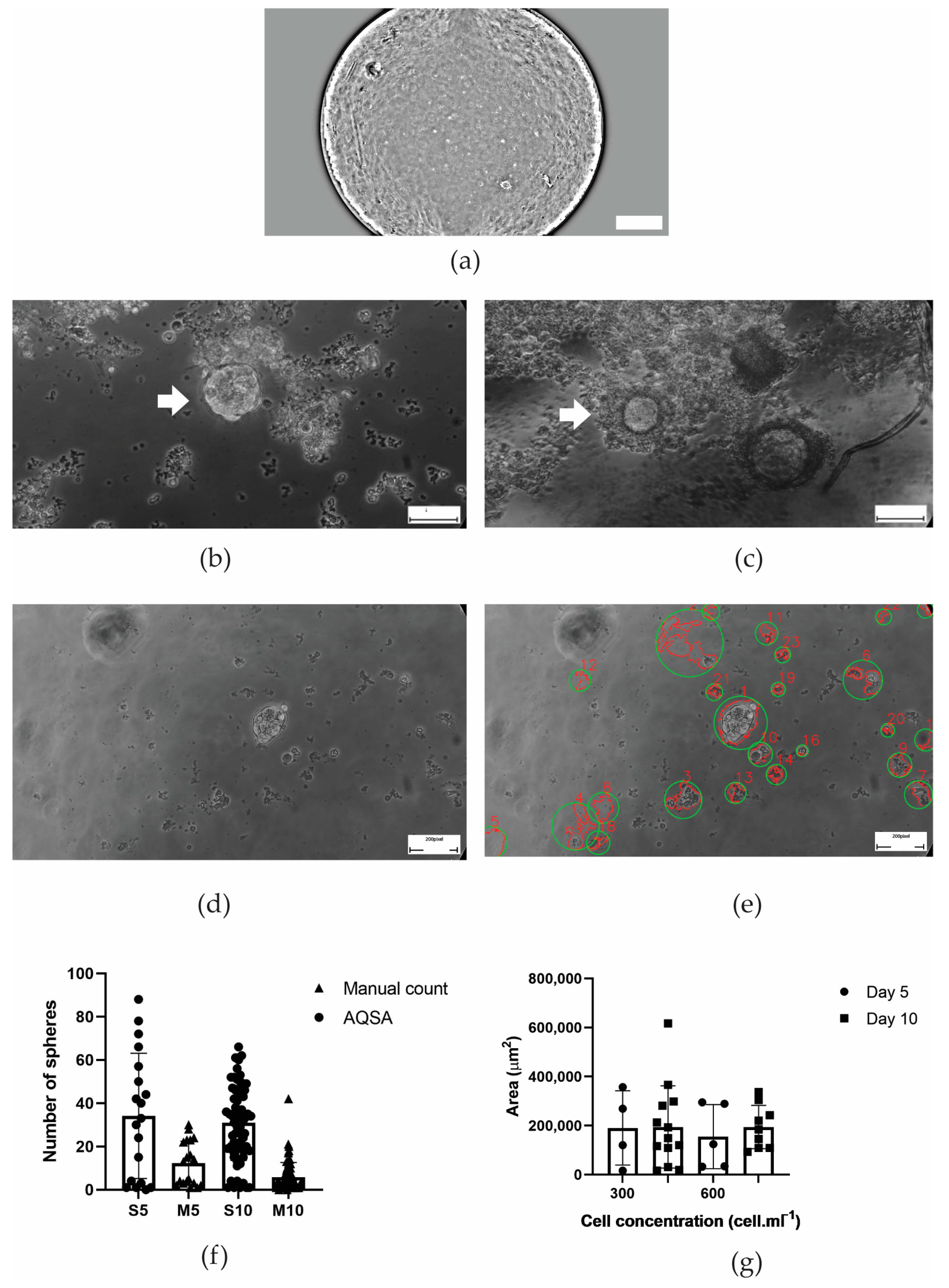 Jimaging 10 00295 g010