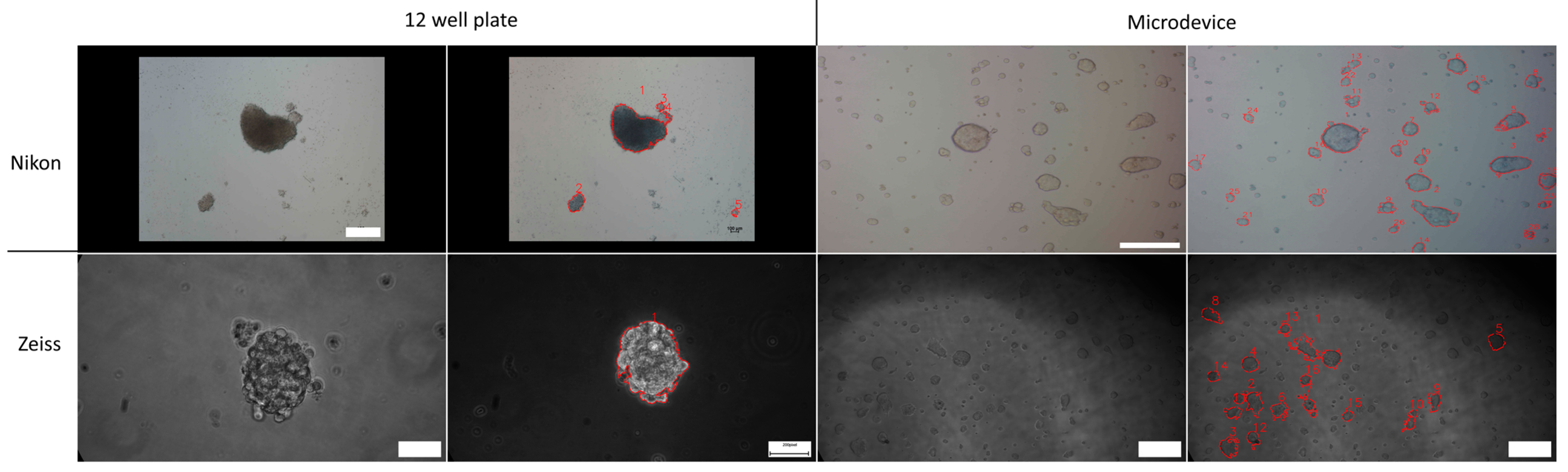 Jimaging 10 00295 g011