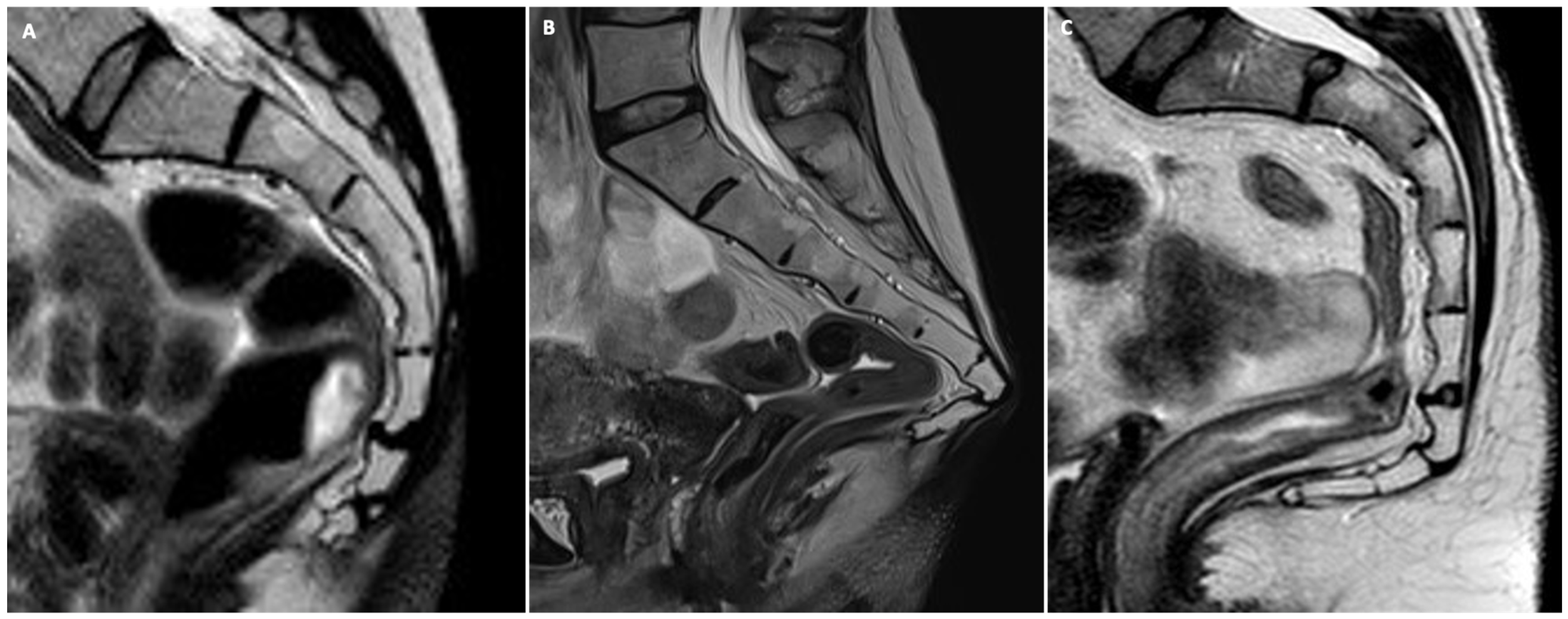 Jimaging 10 00302 g001