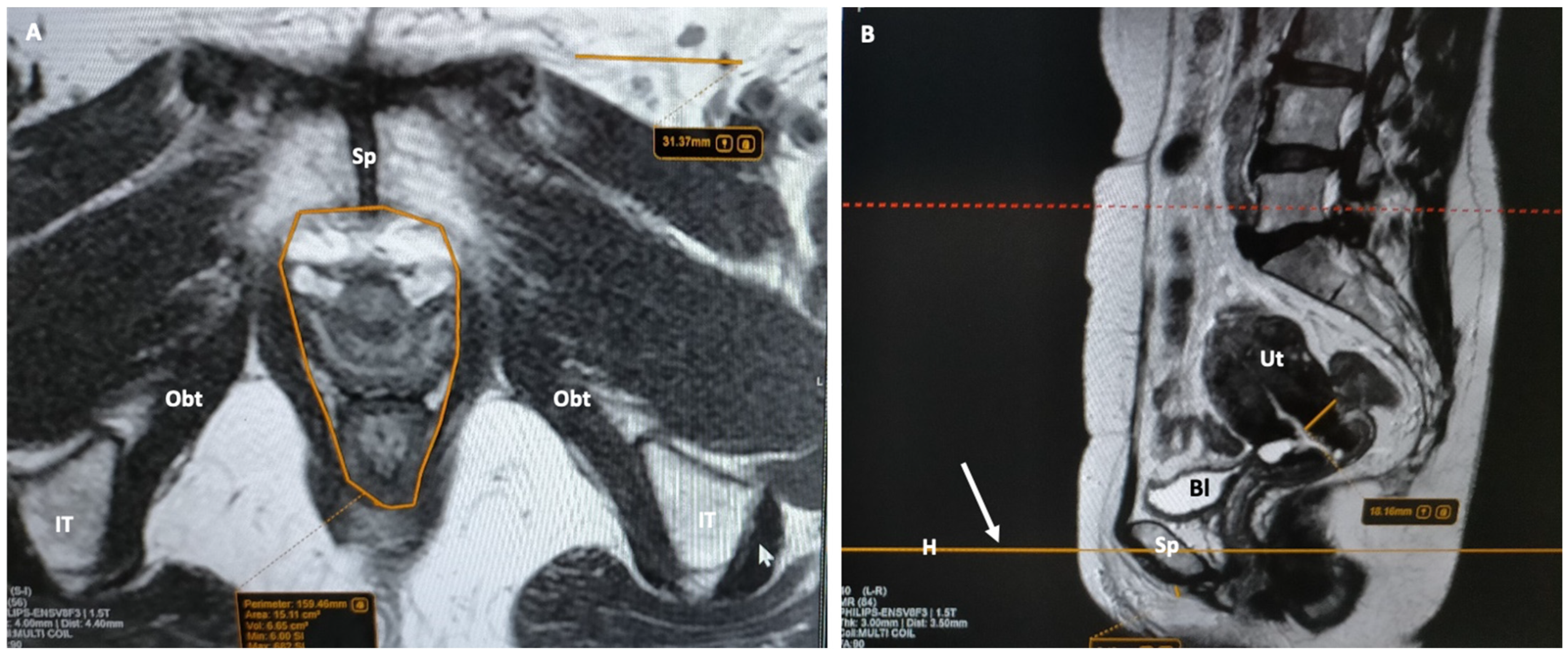 Jimaging 10 00302 g003