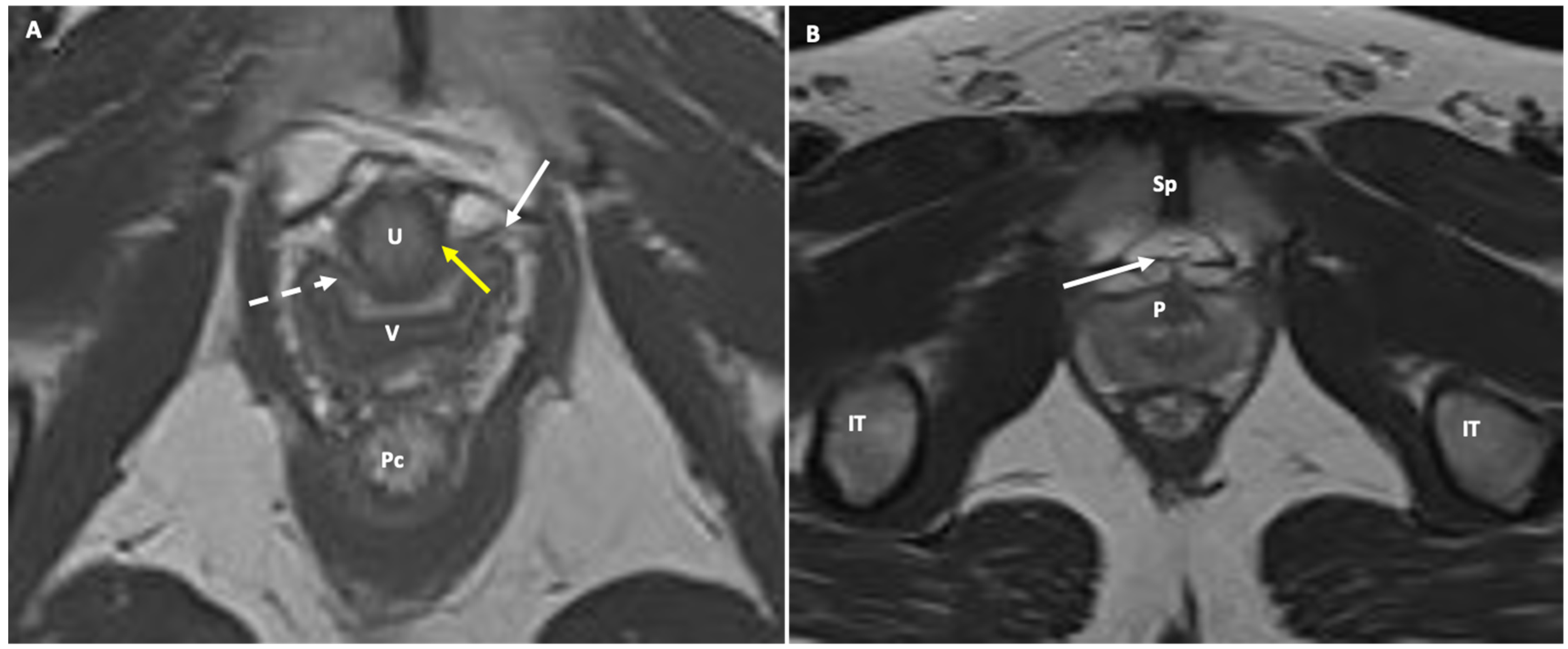 Jimaging 10 00302 g004