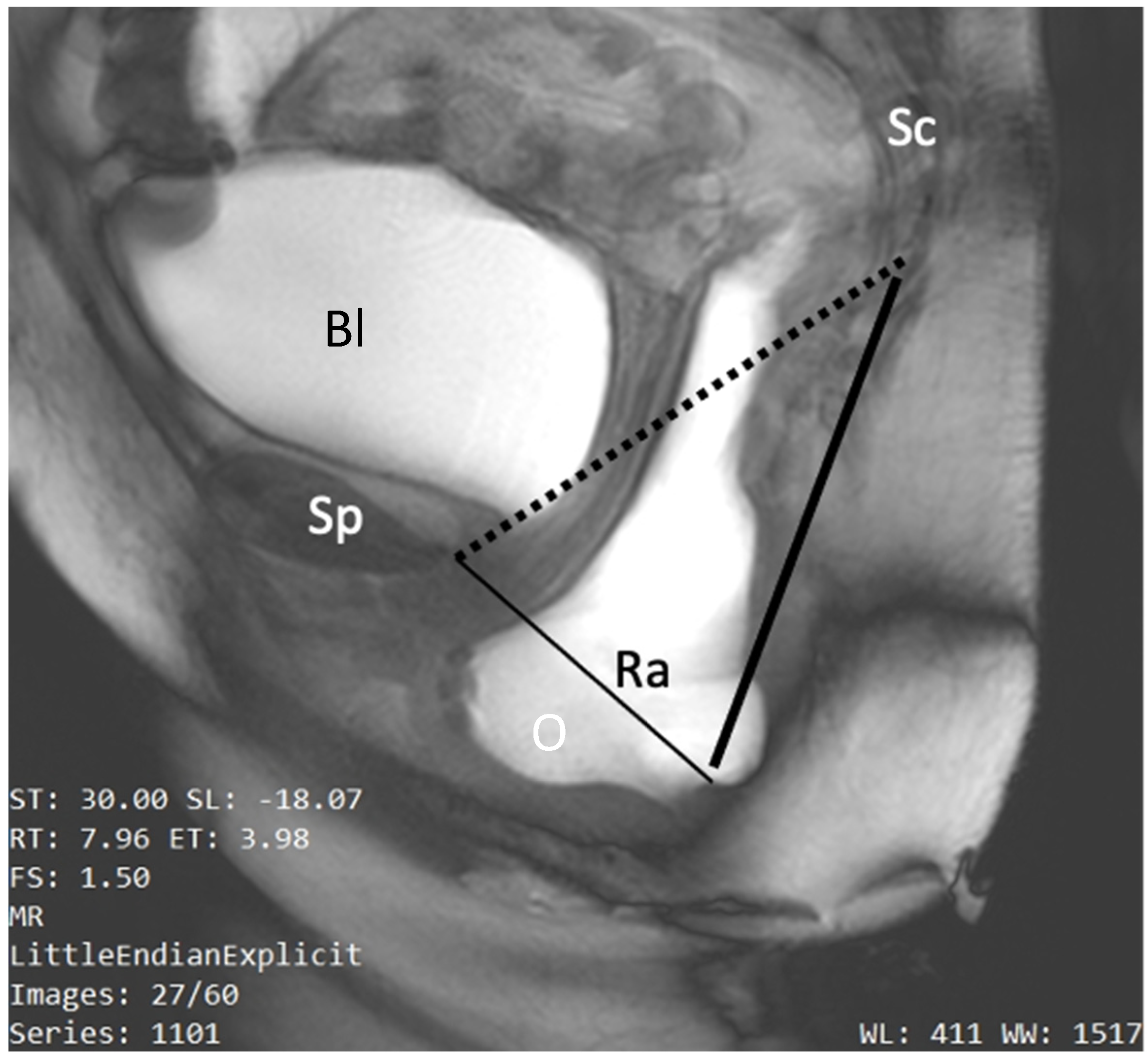 Jimaging 10 00302 g005