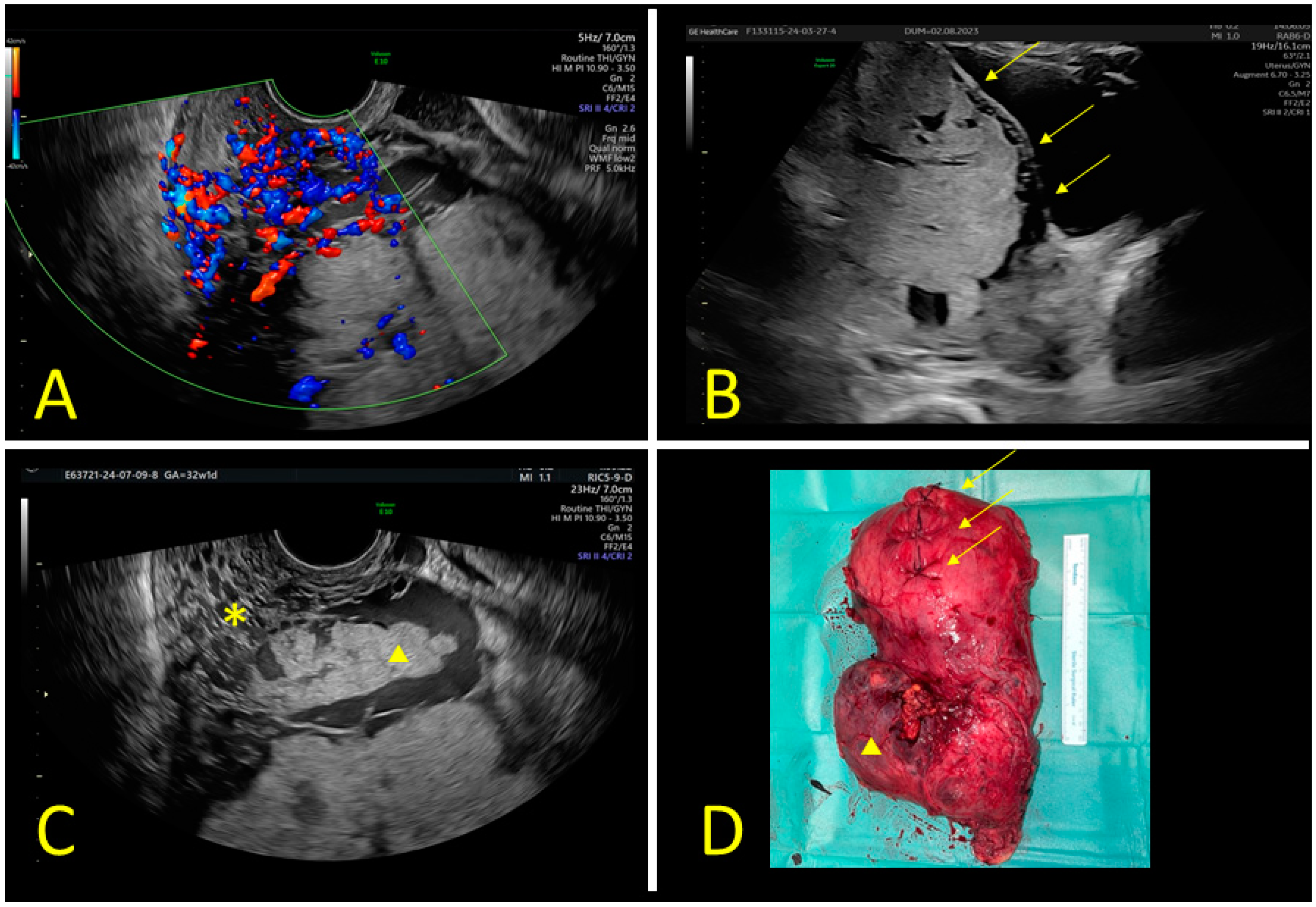 Jimaging 10 00315 g001