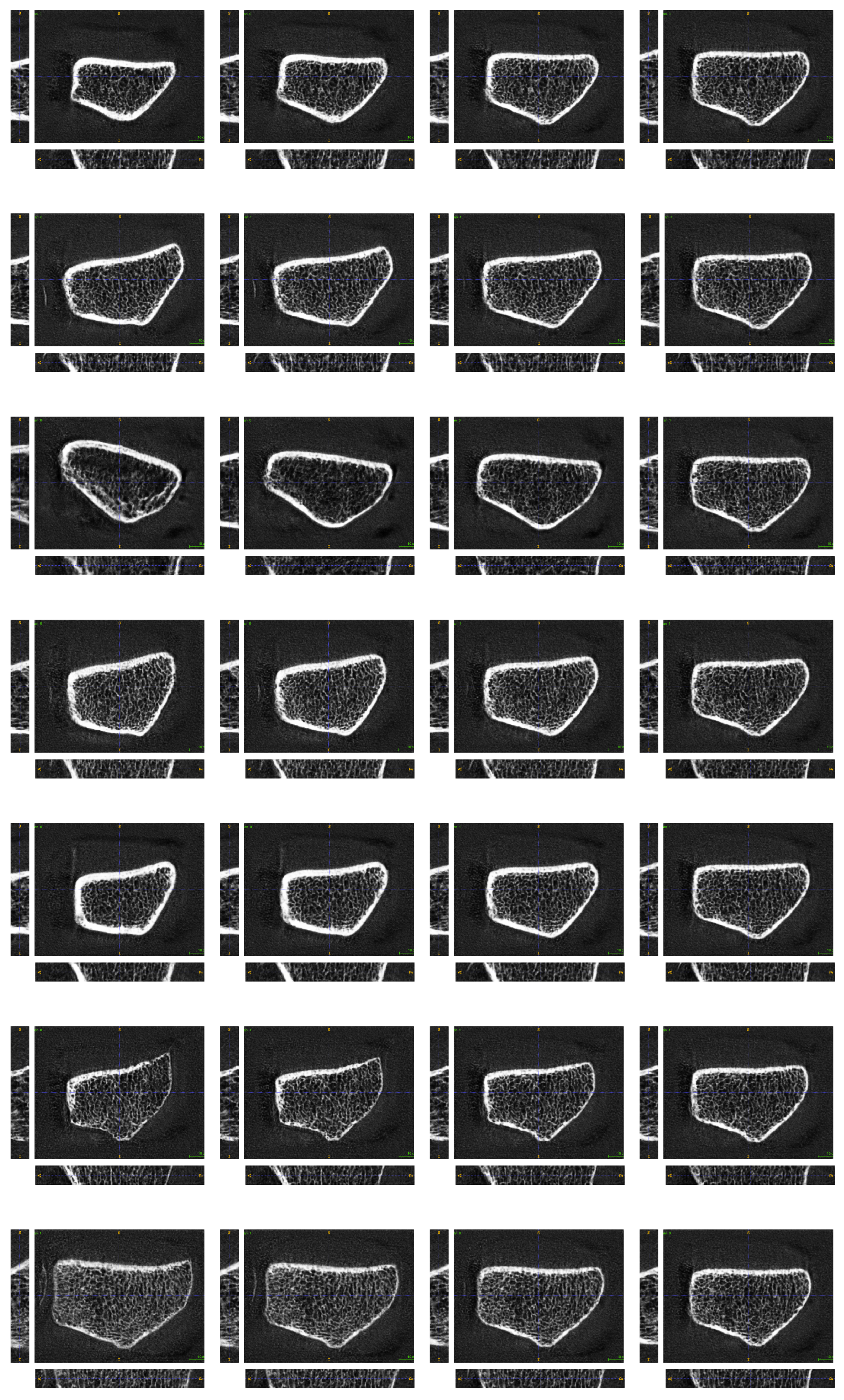 Jimaging 10 00318 g0a2