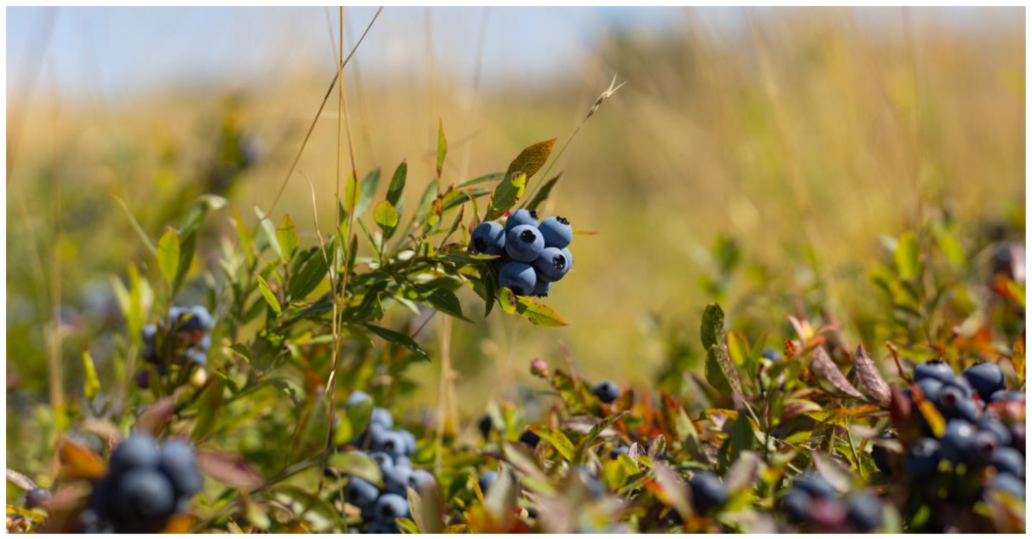 Jimaging 10 00324 g001