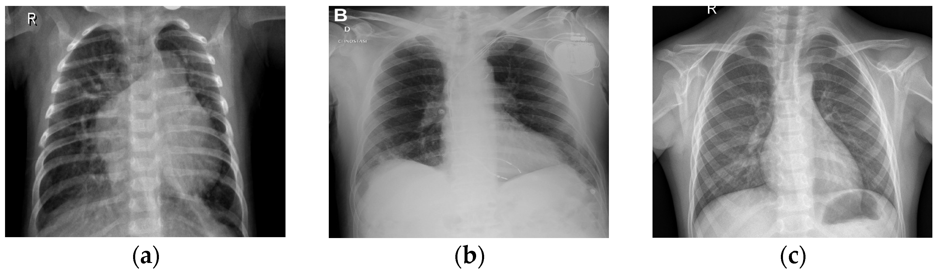 Jimaging 10 00328 g003