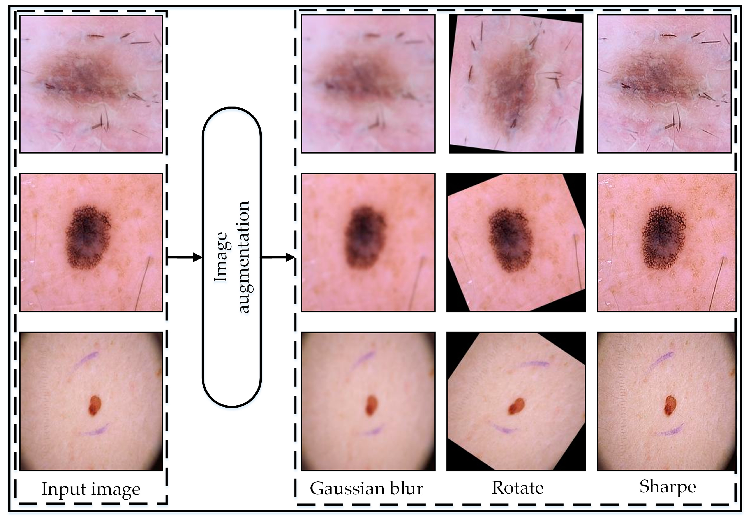 Jimaging 10 00332 g002