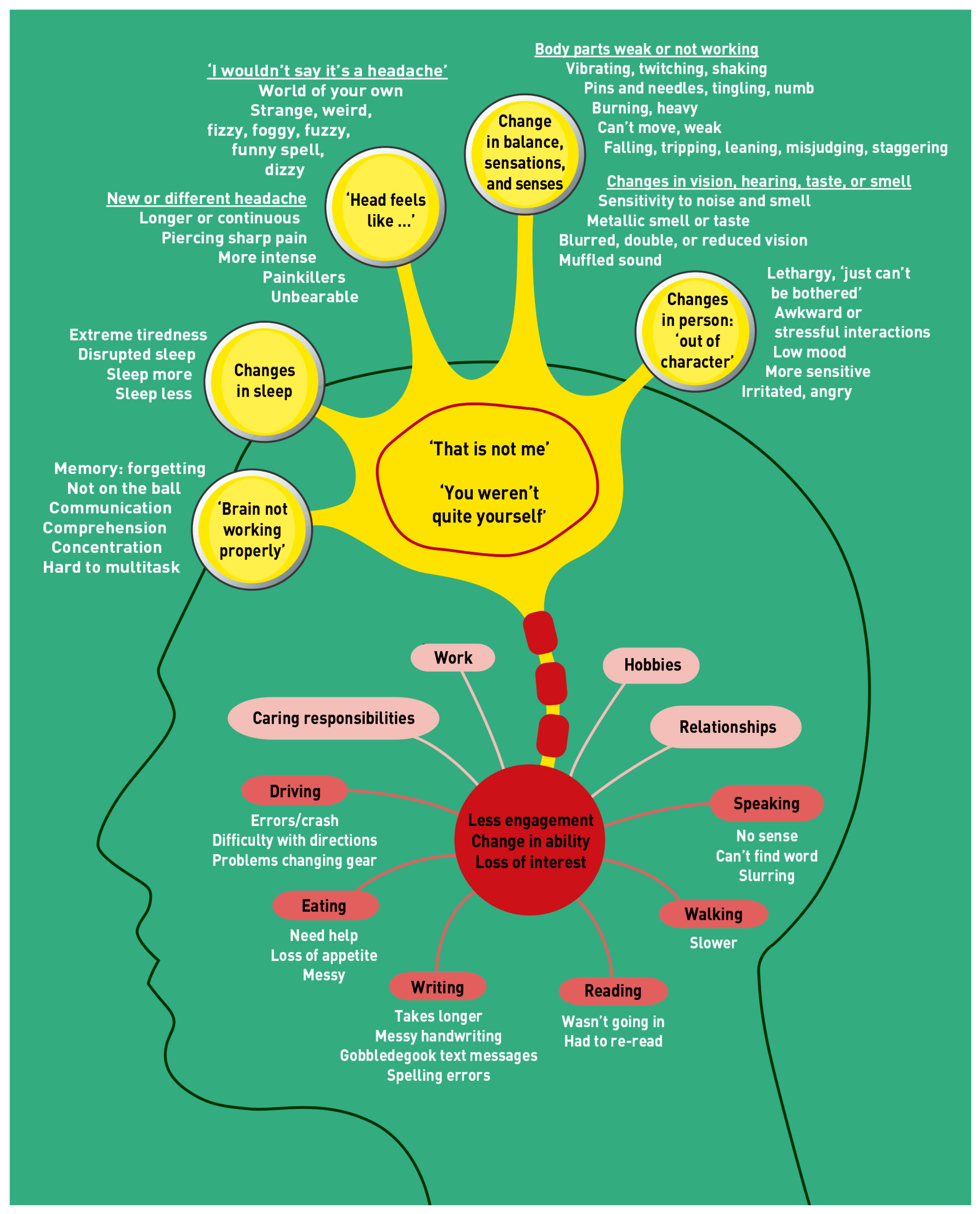Jimaging 11 00002 g001