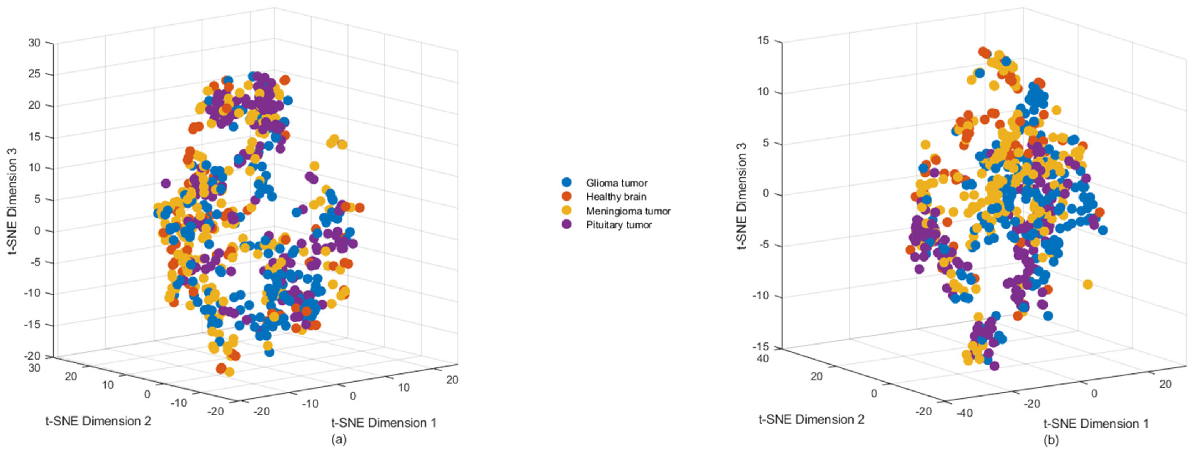 Jimaging 11 00002 g011