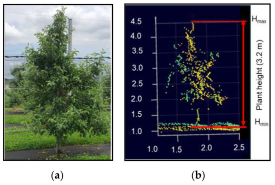 Geometric Feature Characterization of Apple Trees from 3D LiDAR Point ...