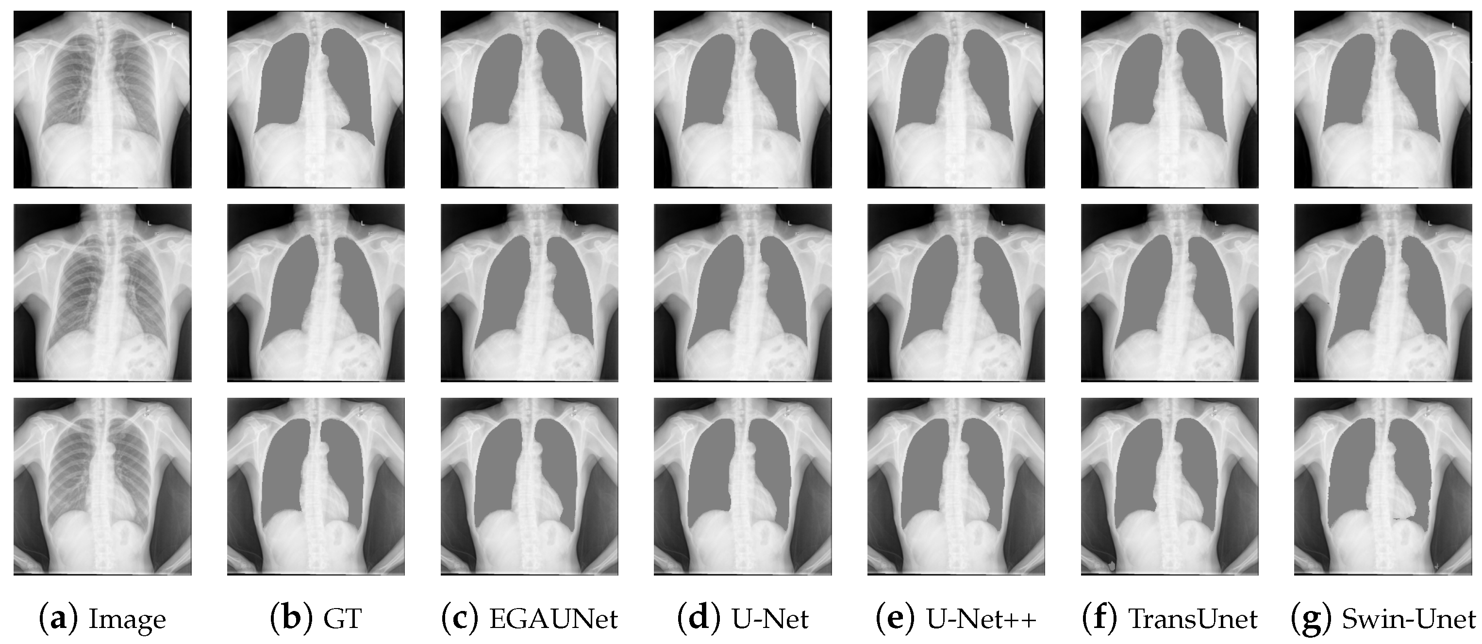 Jimaging 11 00019 g010