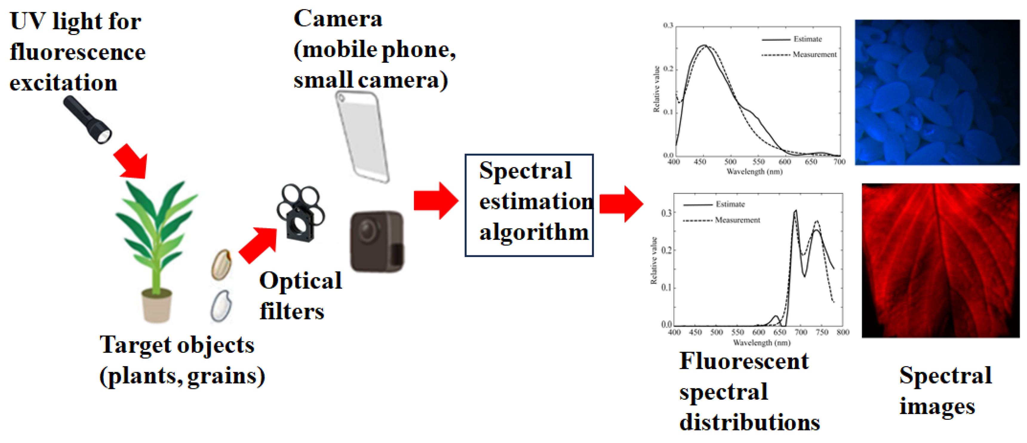 Jimaging 11 00030 g001 Jimaging 11 00030 g001