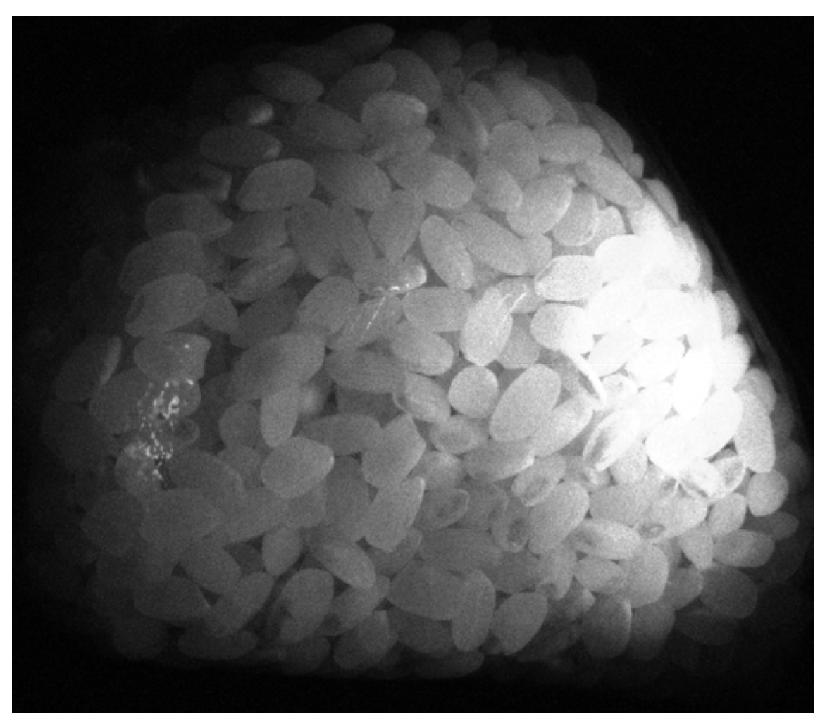 Jimaging 11 00030 g009 Jimaging 11 00030 g009