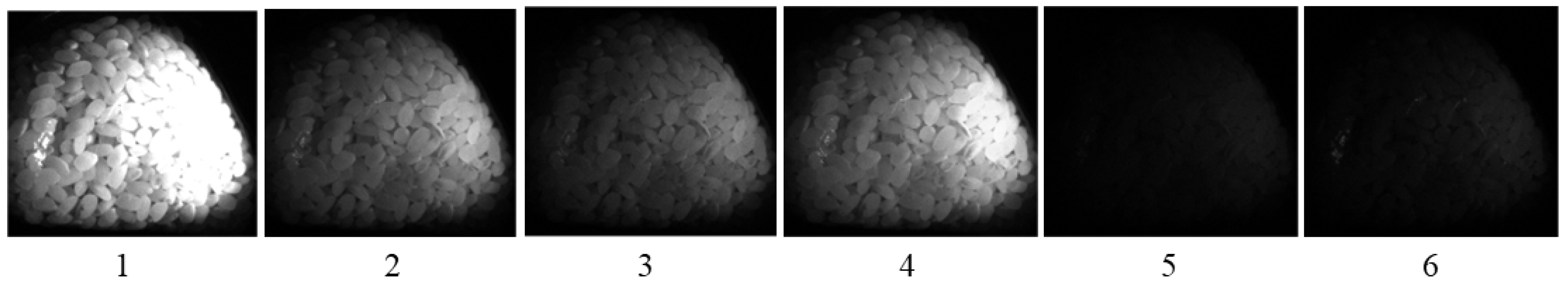 Jimaging 11 00030 g010 Jimaging 11 00030 g010