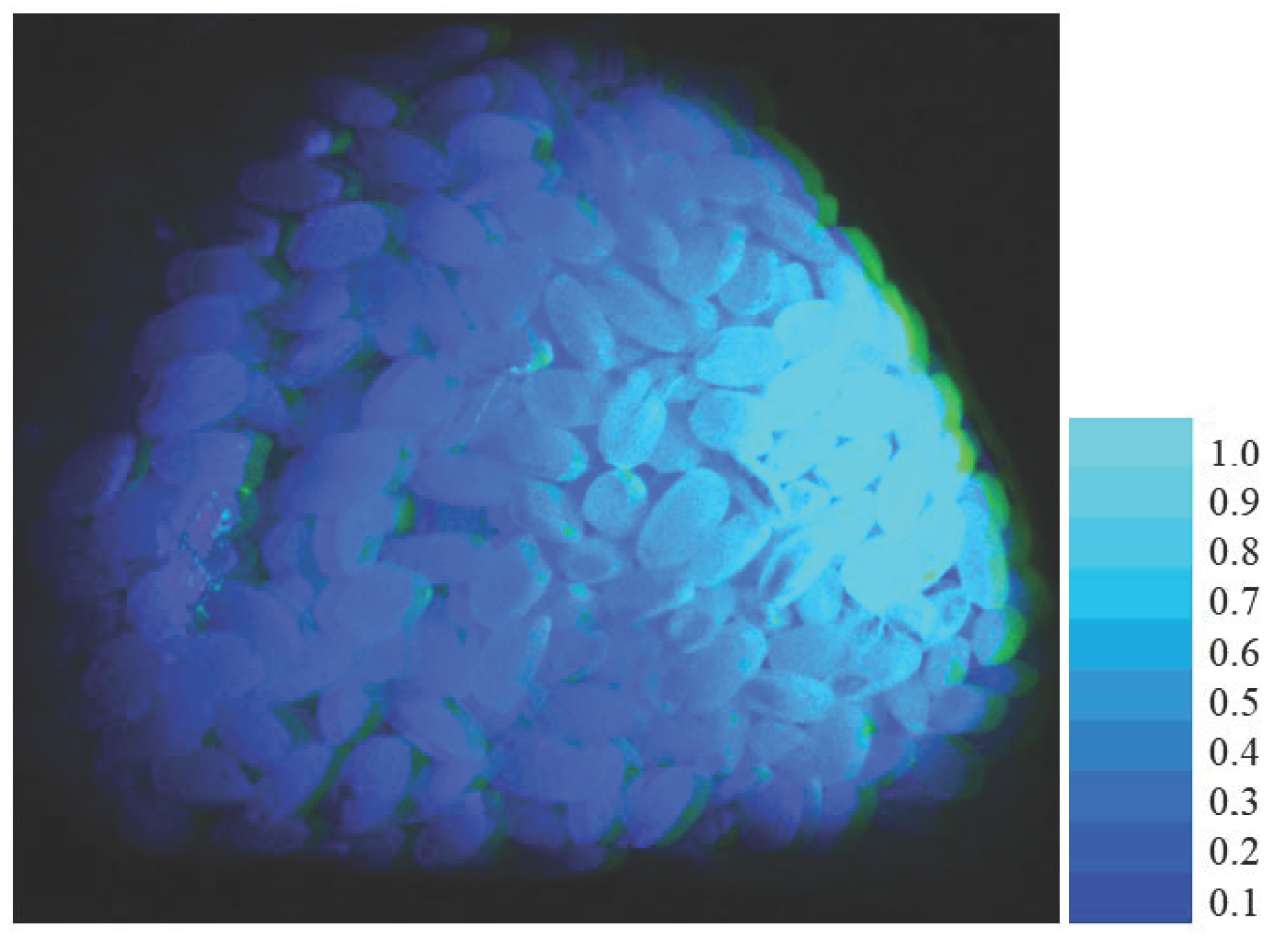 Jimaging 11 00030 g014 Jimaging 11 00030 g014