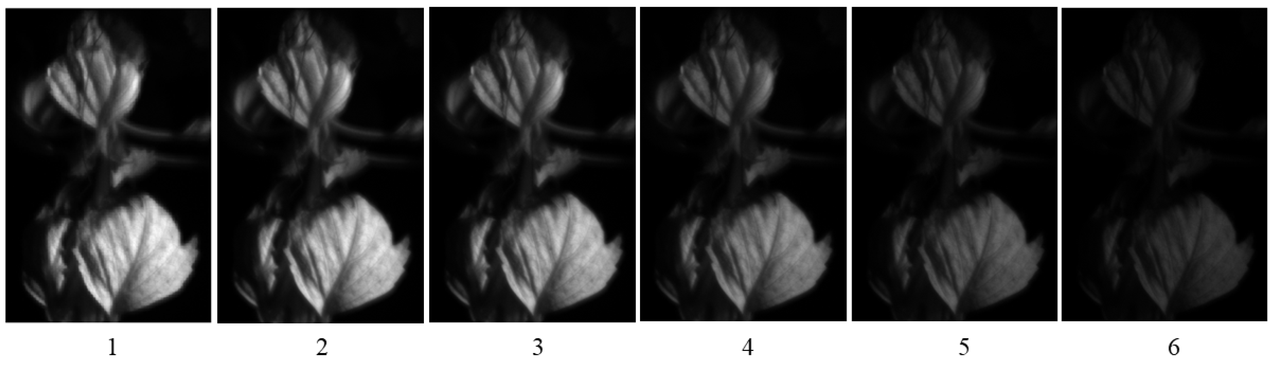 Jimaging 11 00030 g016 Jimaging 11 00030 g016