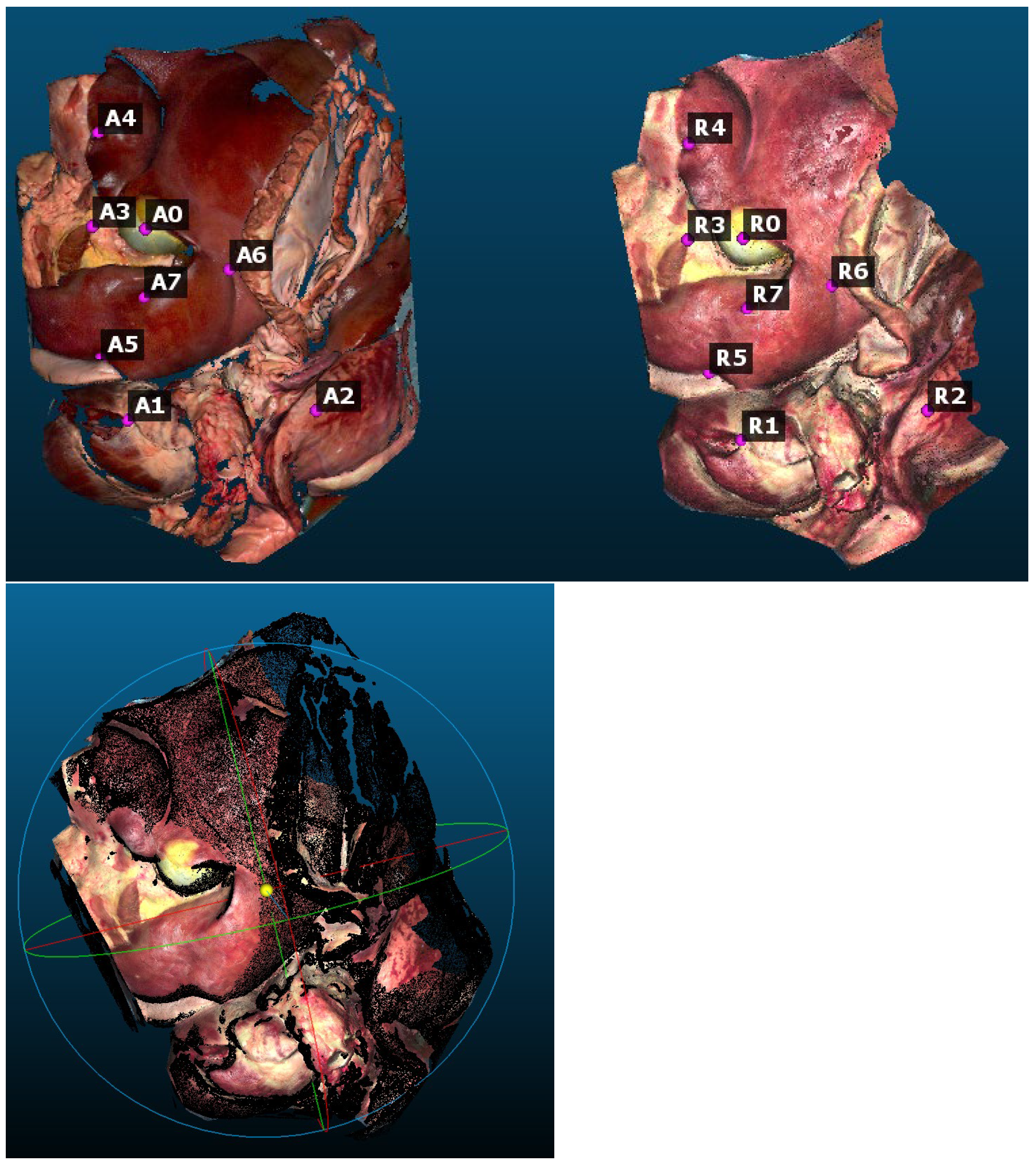 Jimaging 11 00044 g008
