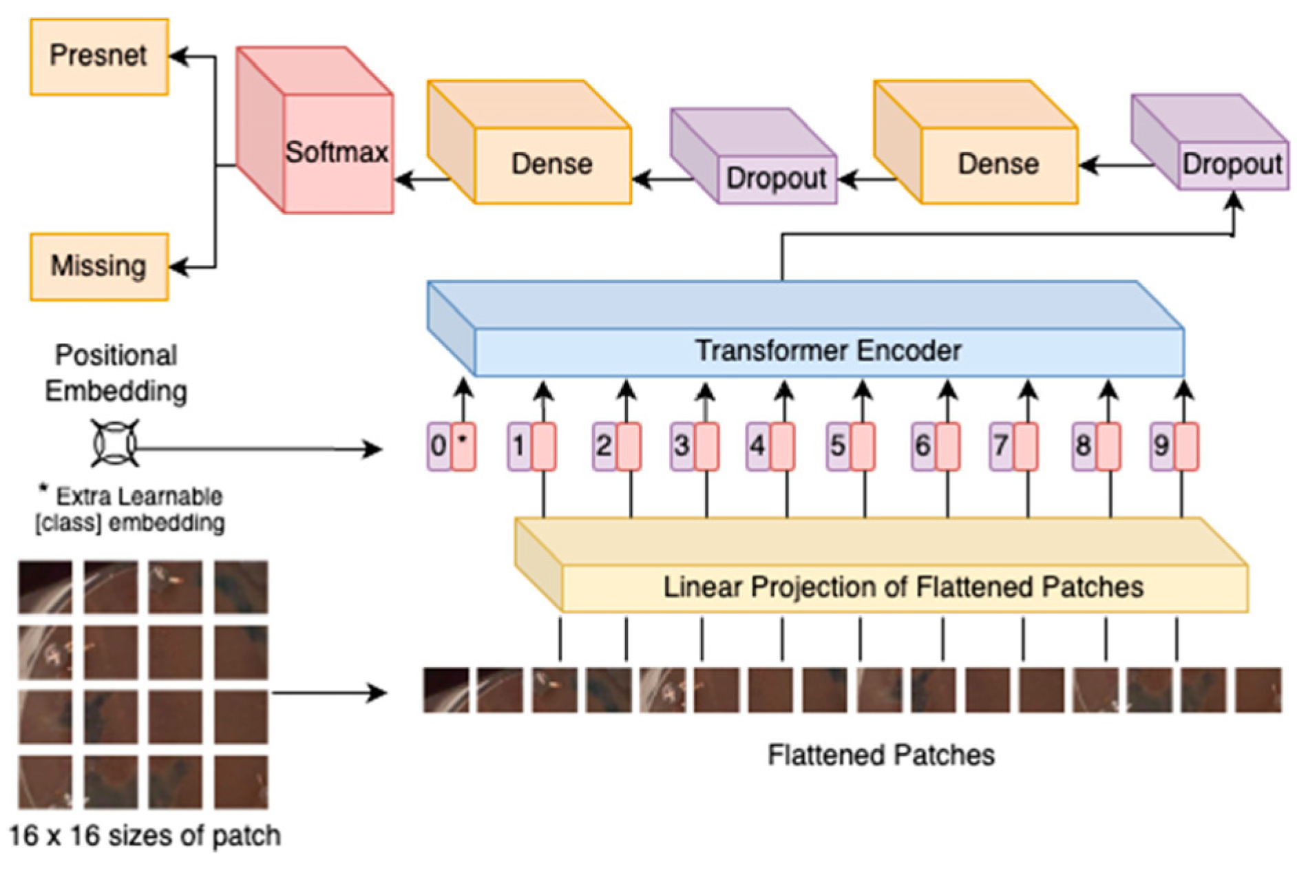 Jimaging 11 00059 g005