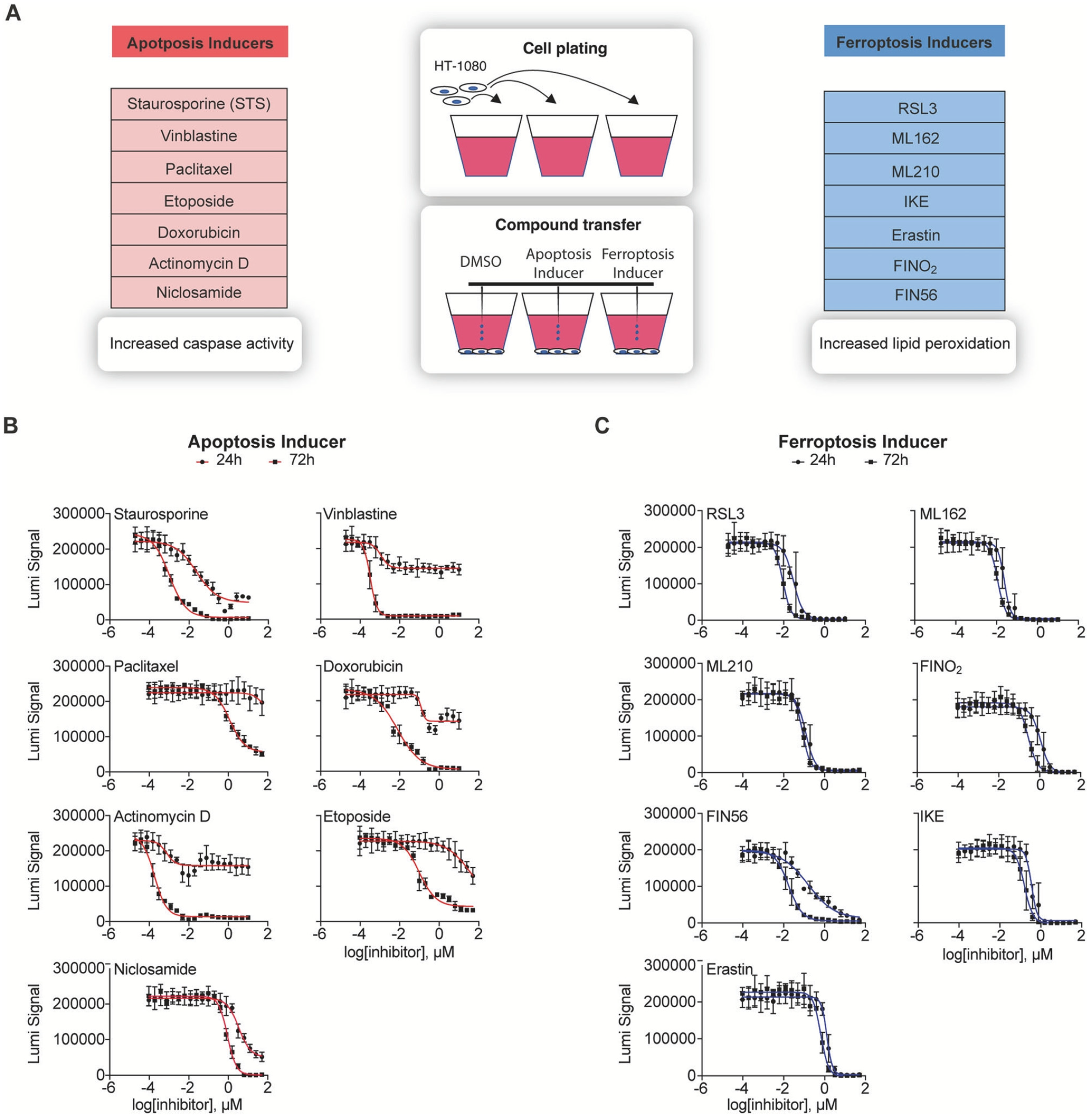 Jimaging 11 00059 g006