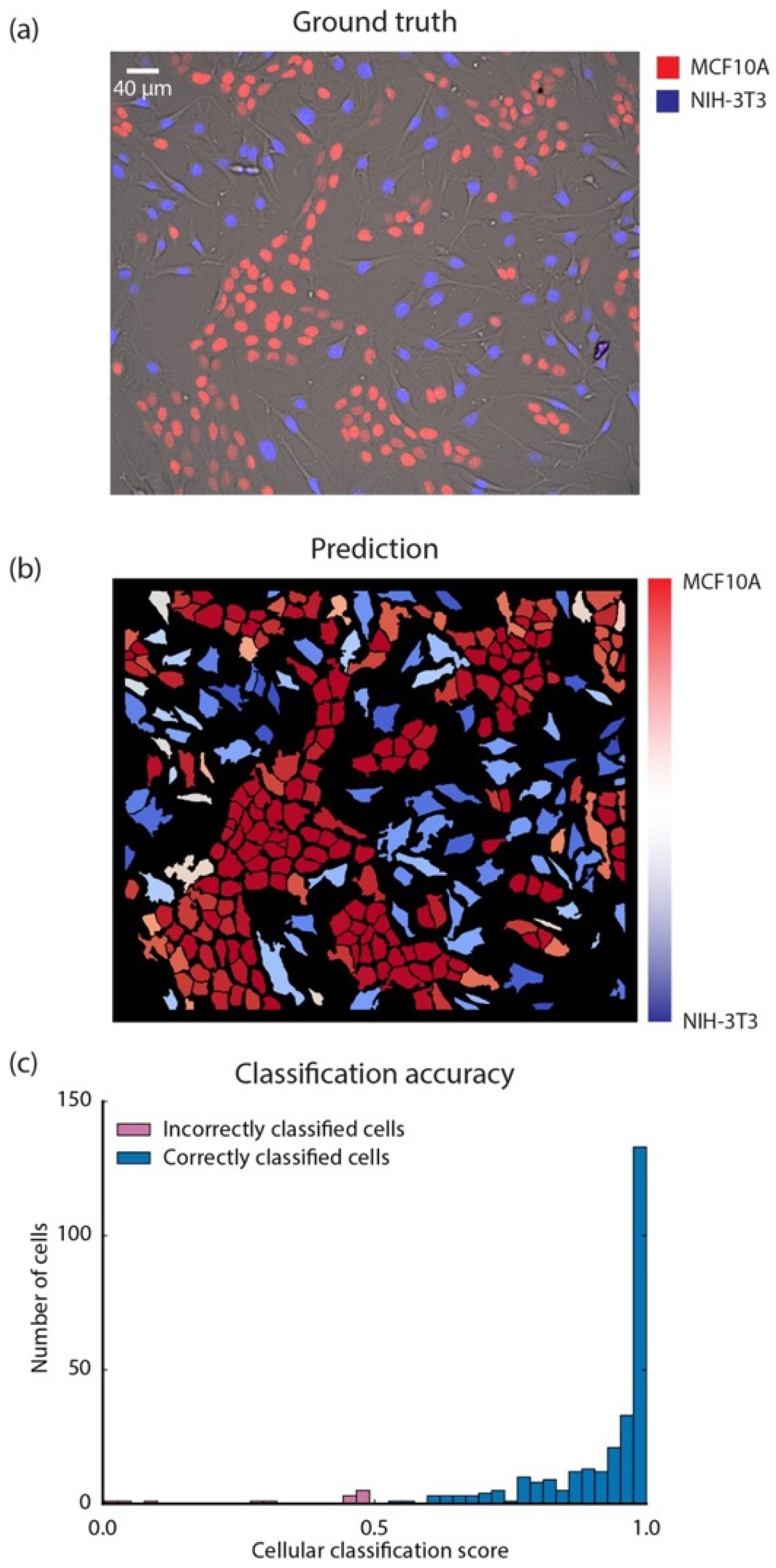 Jimaging 11 00059 g012