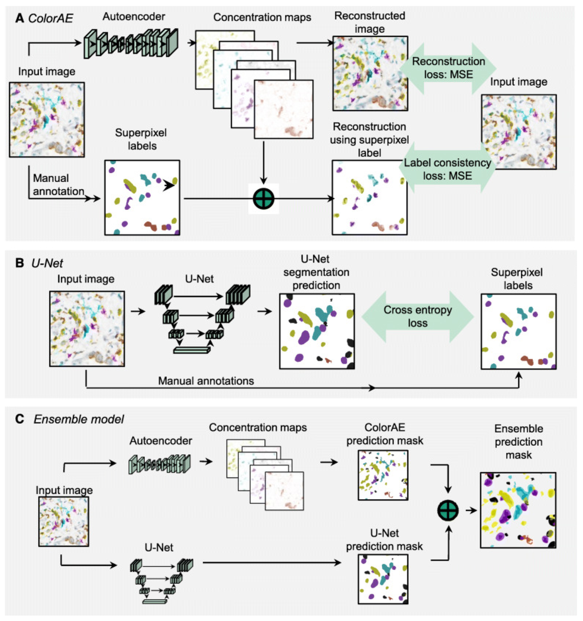 Jimaging 11 00059 g017
