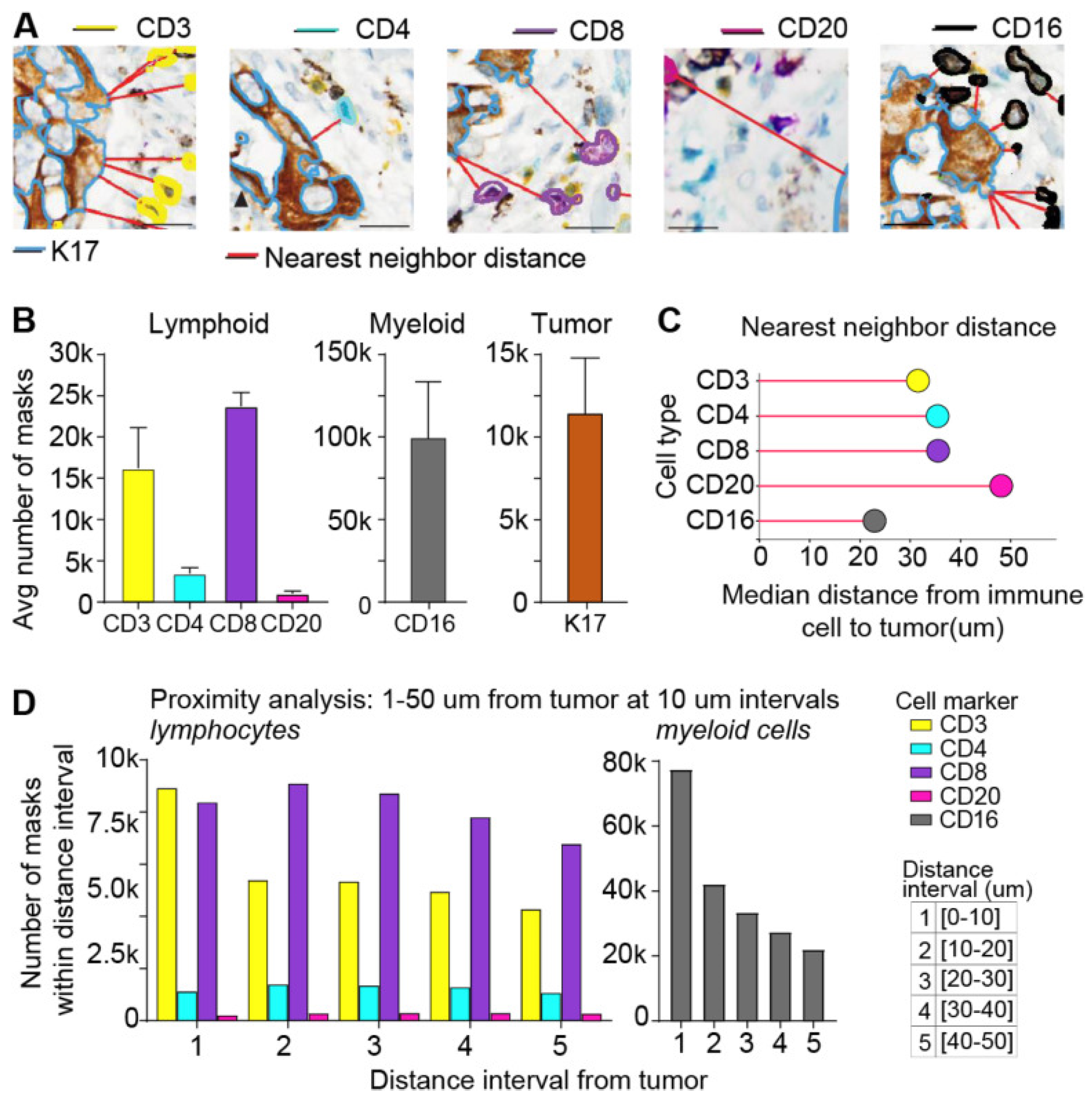 Jimaging 11 00059 g018
