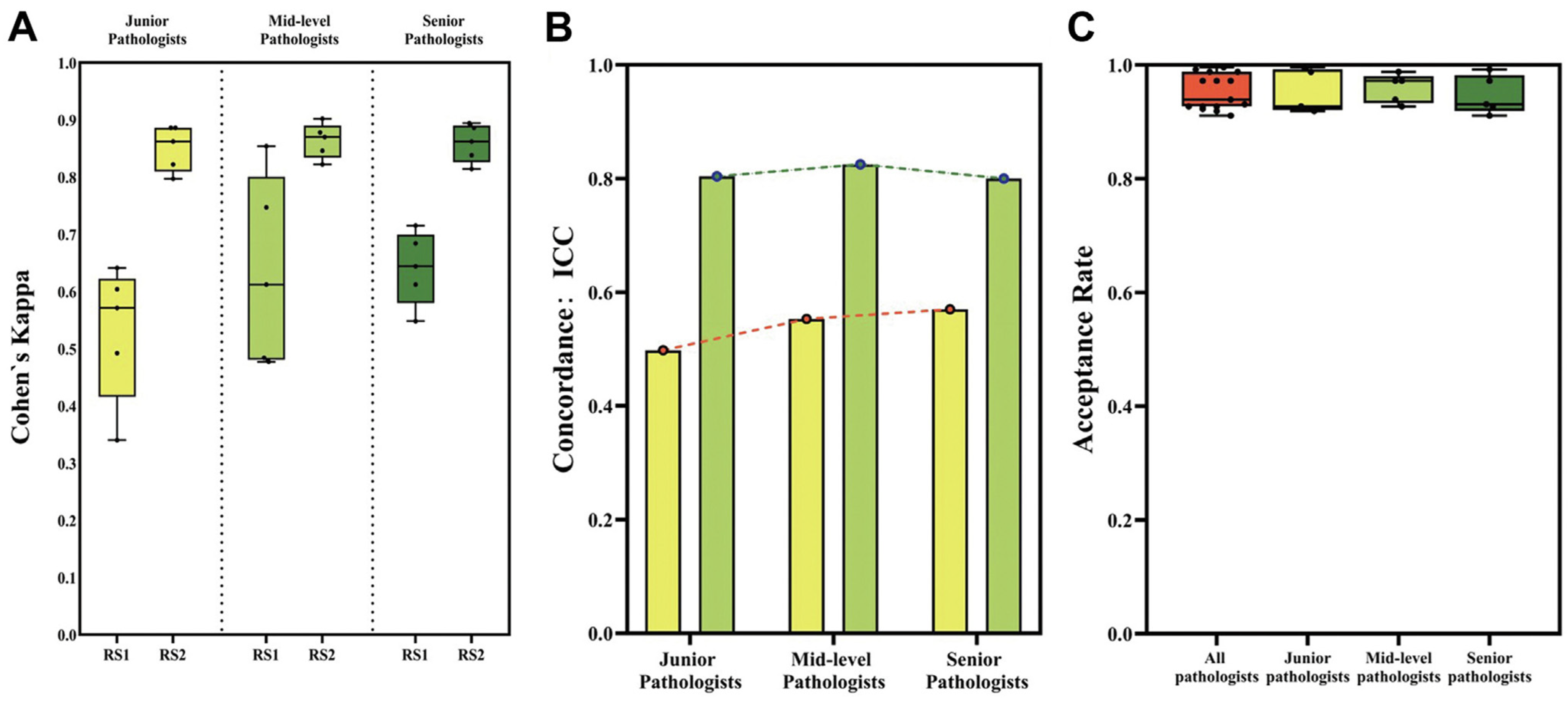 Jimaging 11 00059 g022