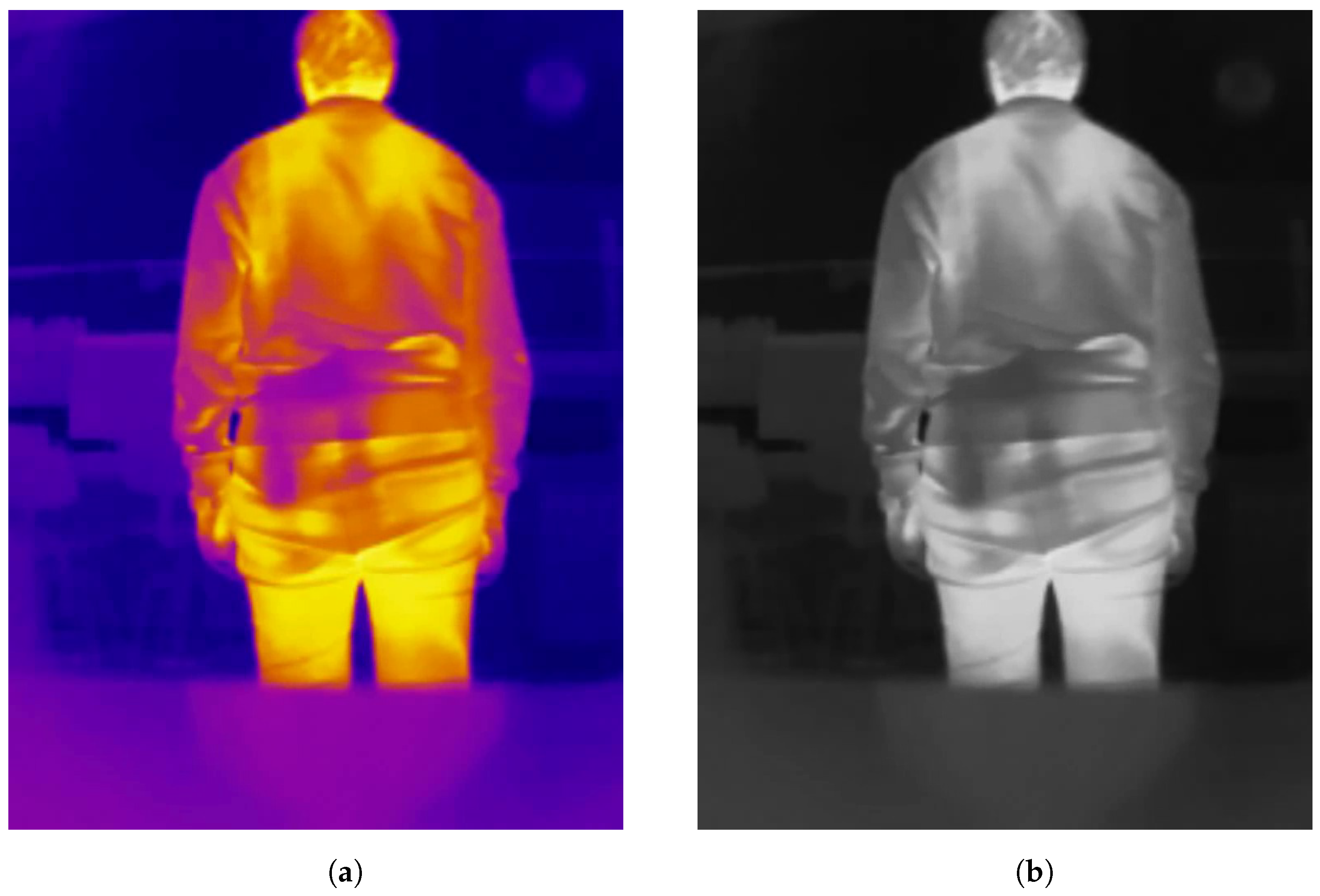 Jimaging 11 00072 g005