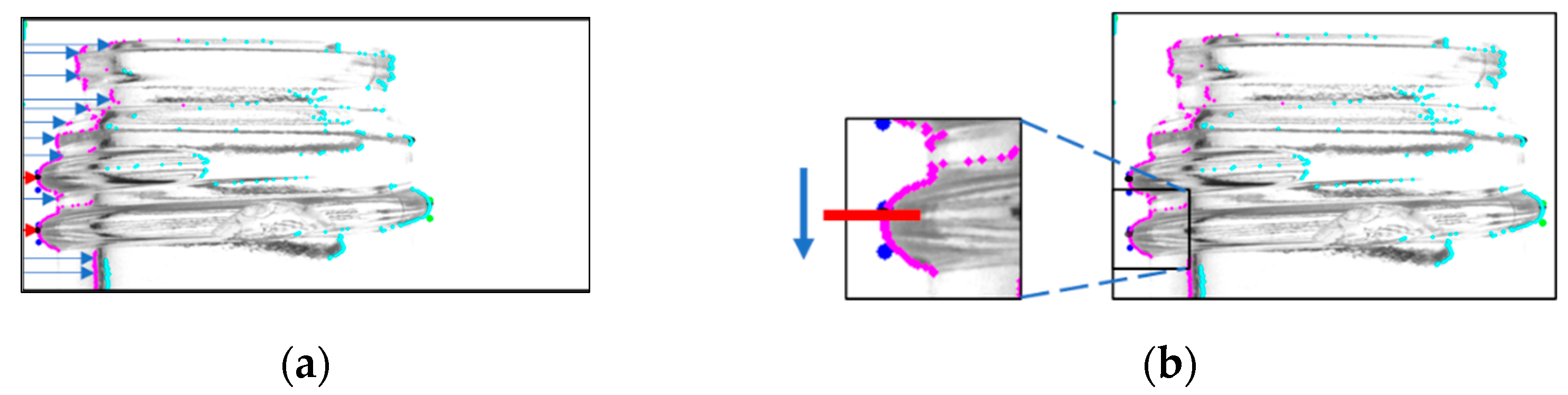 Jimaging 11 00077 g003