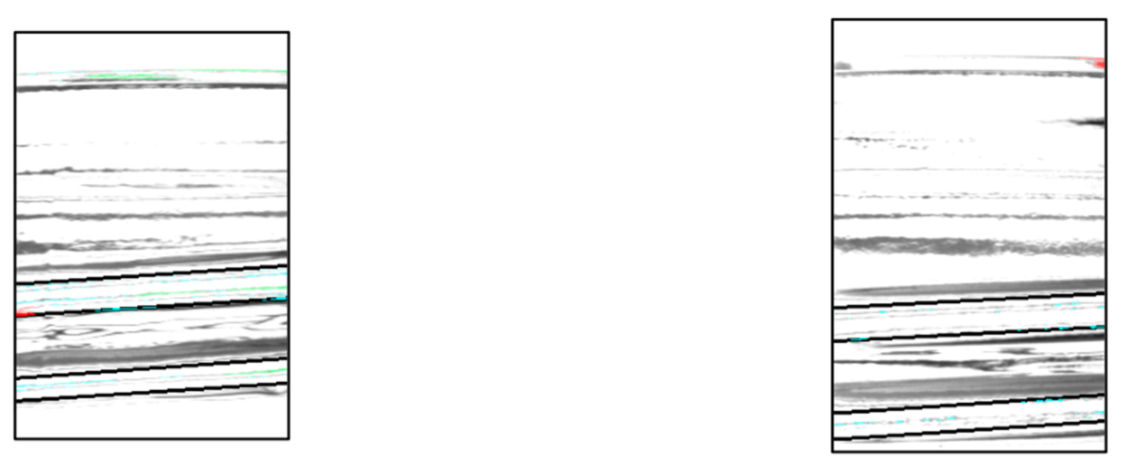 Jimaging 11 00077 g018