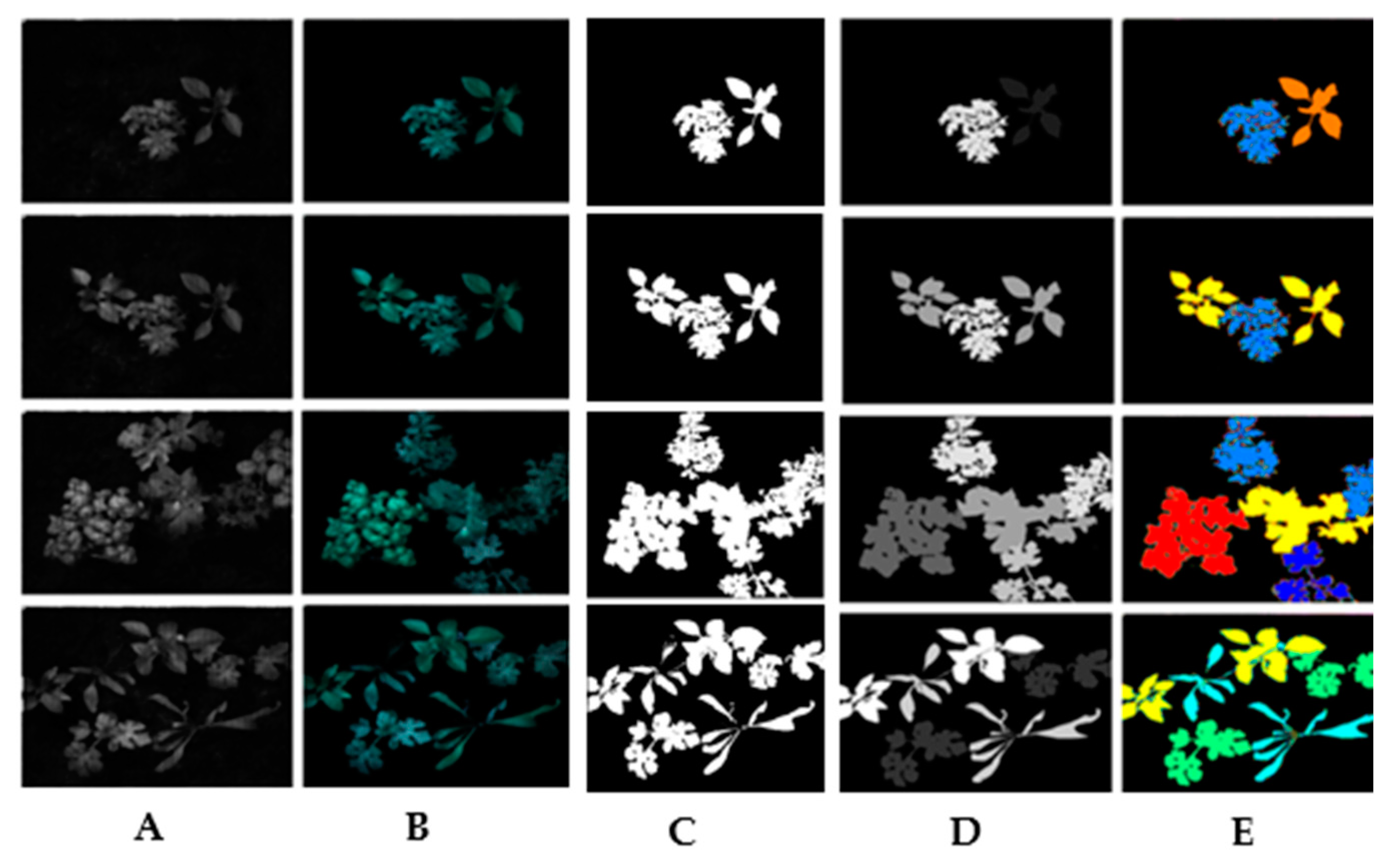 Jimaging 11 00085 g013