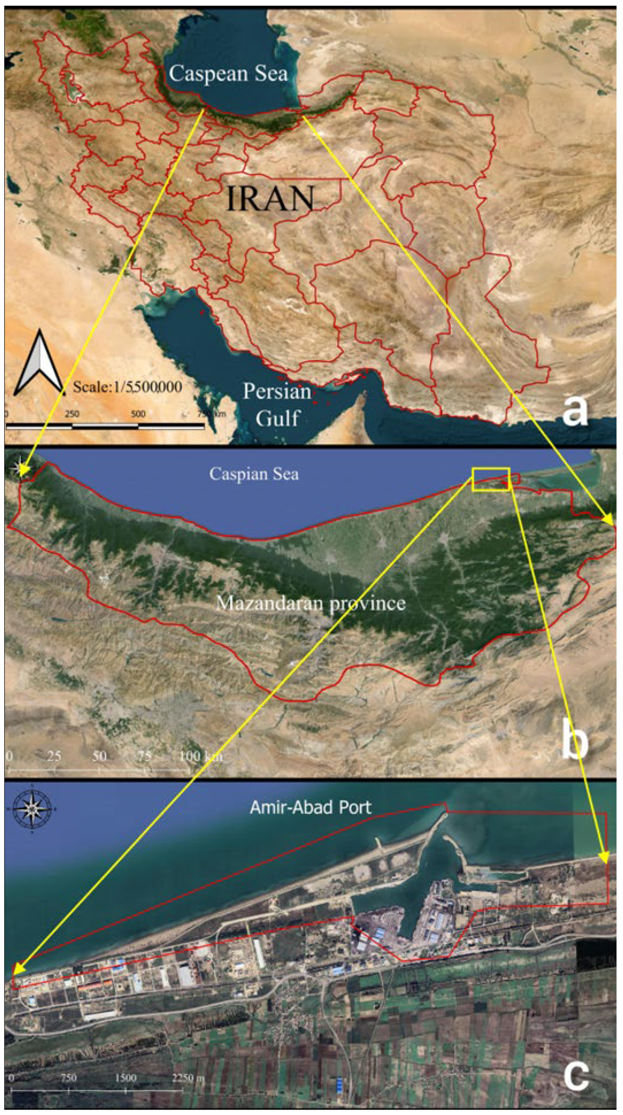 Jimaging 11 00086 g001