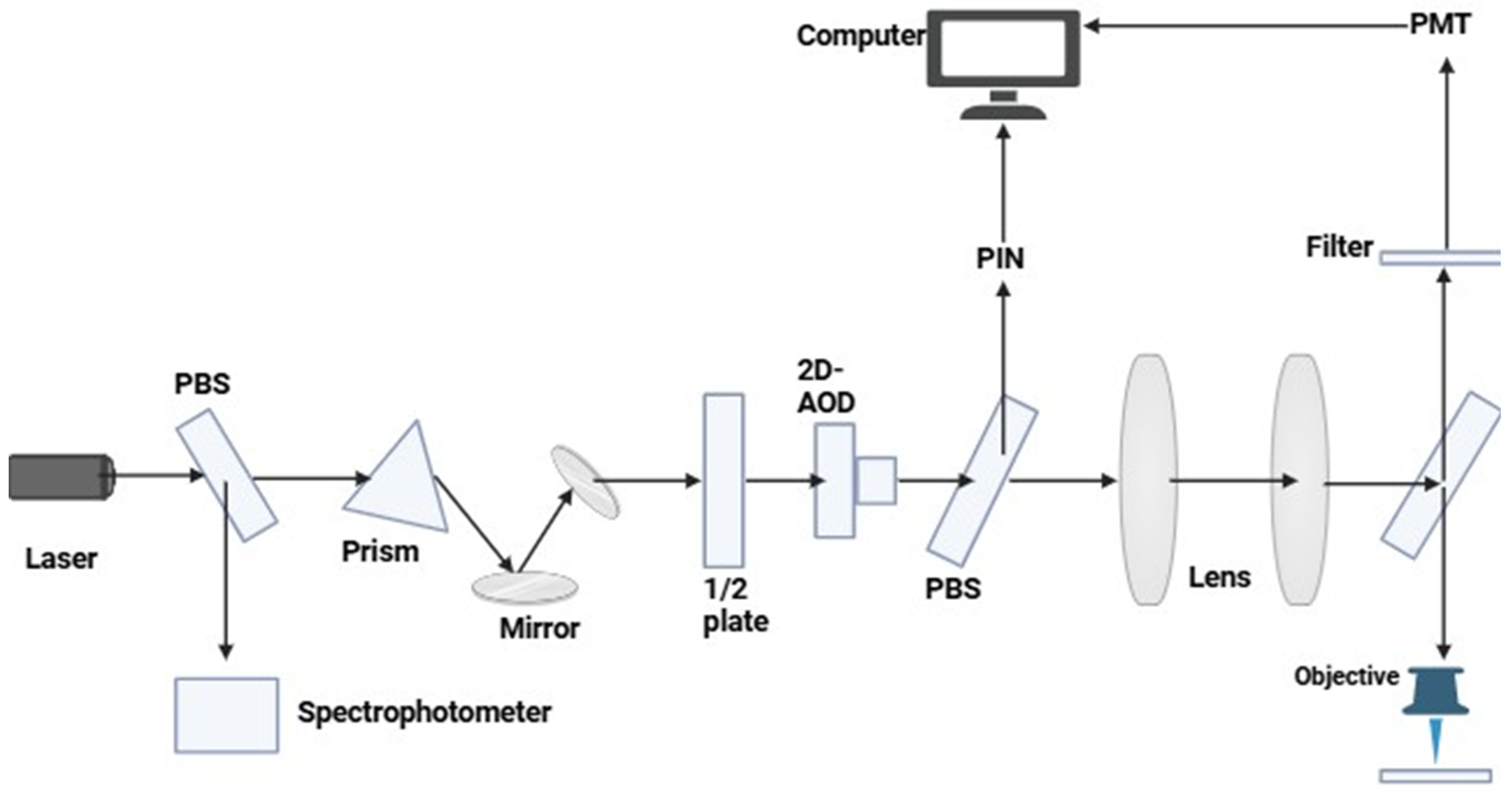 Jimaging 11 00087 g004