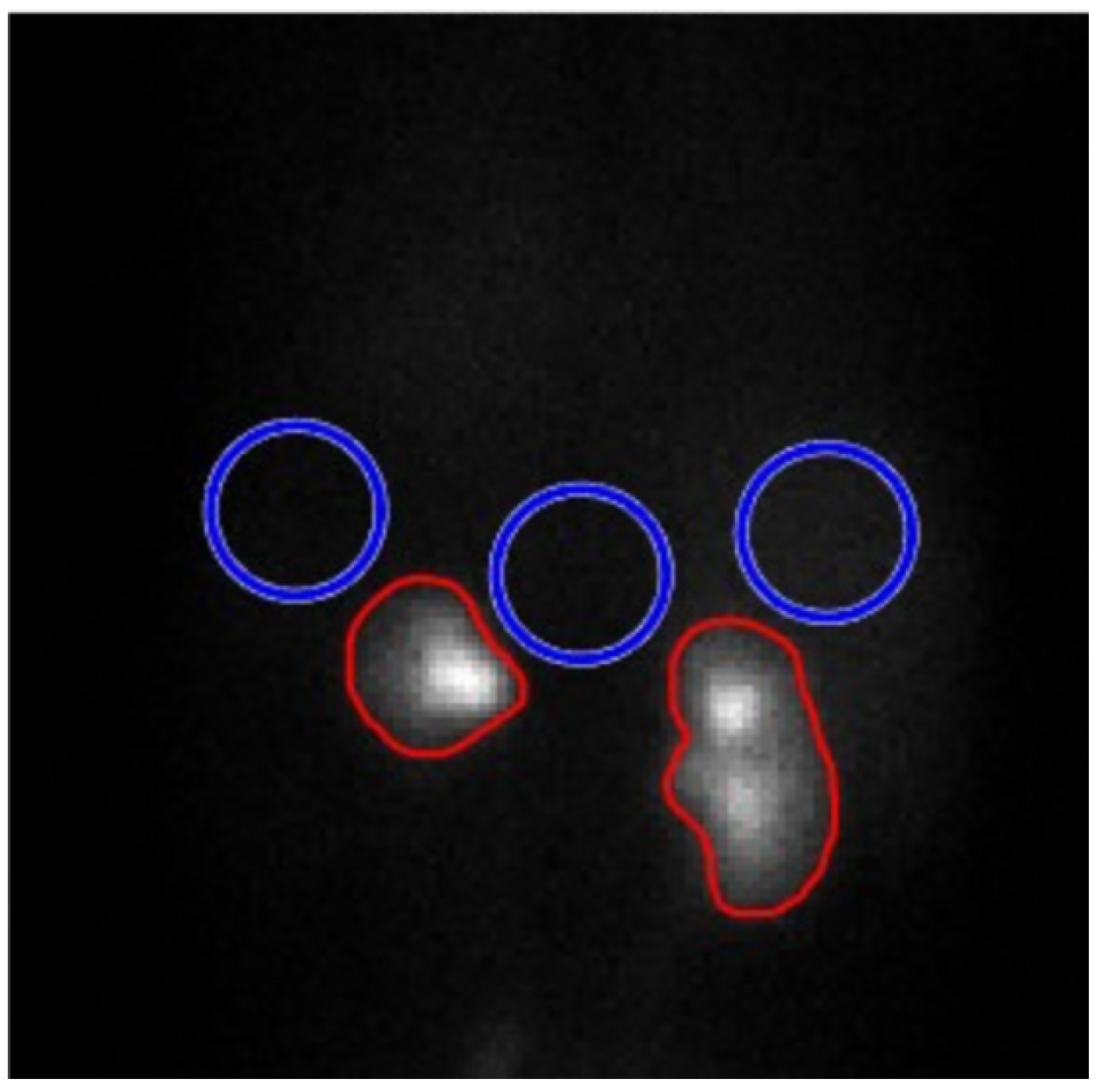 Jimaging 11 00088 g005