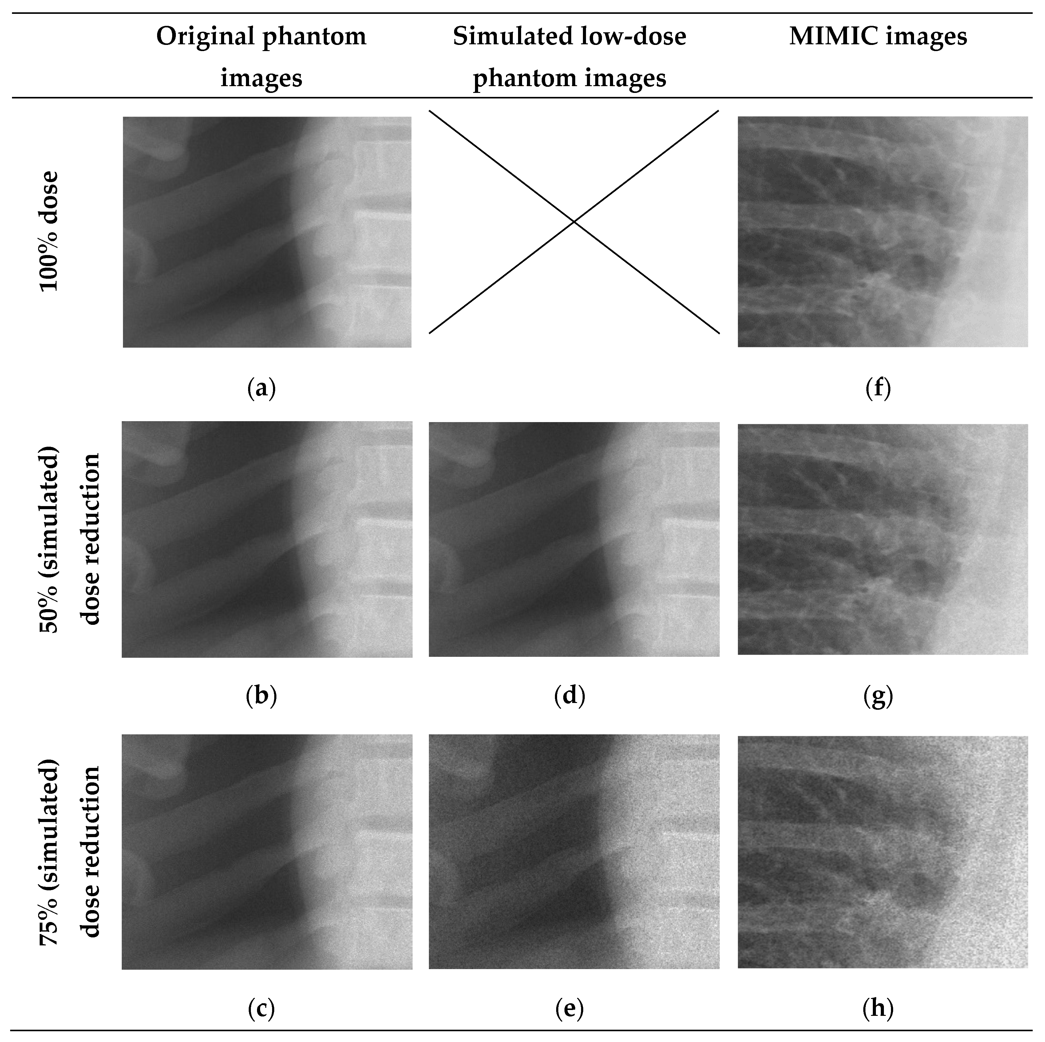 Jimaging 11 00090 g002