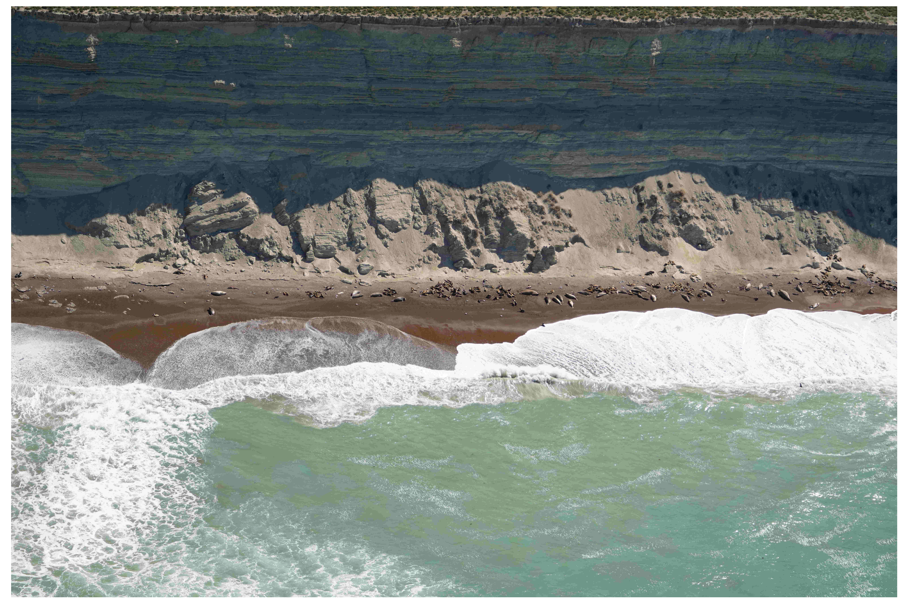 Jimaging 11 00094 g002