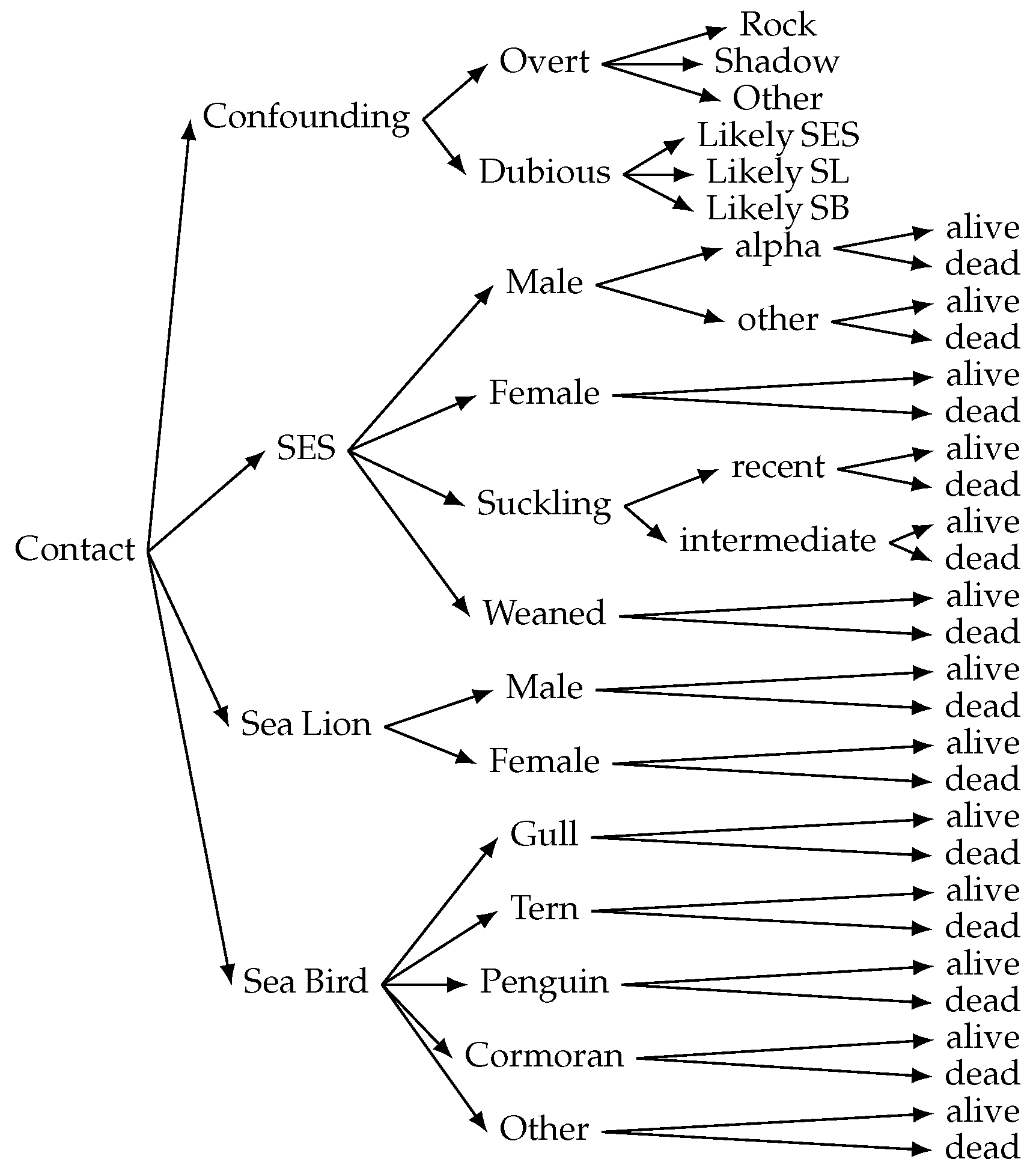 Jimaging 11 00094 g003