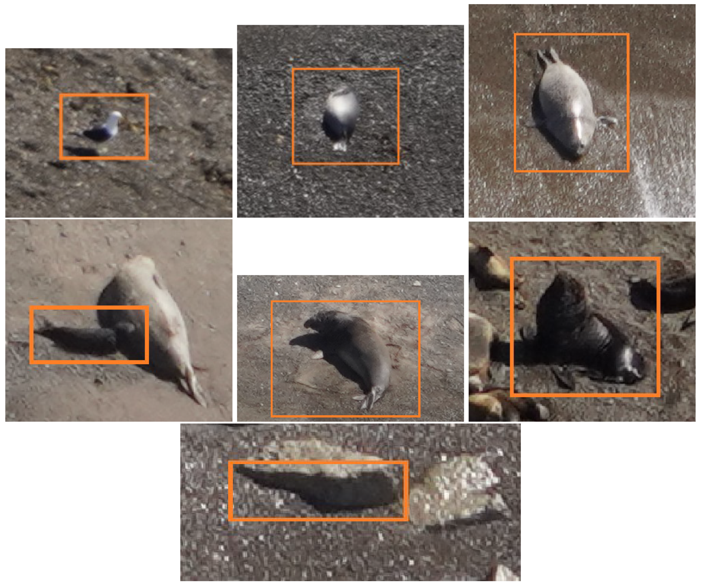 Jimaging 11 00094 g004