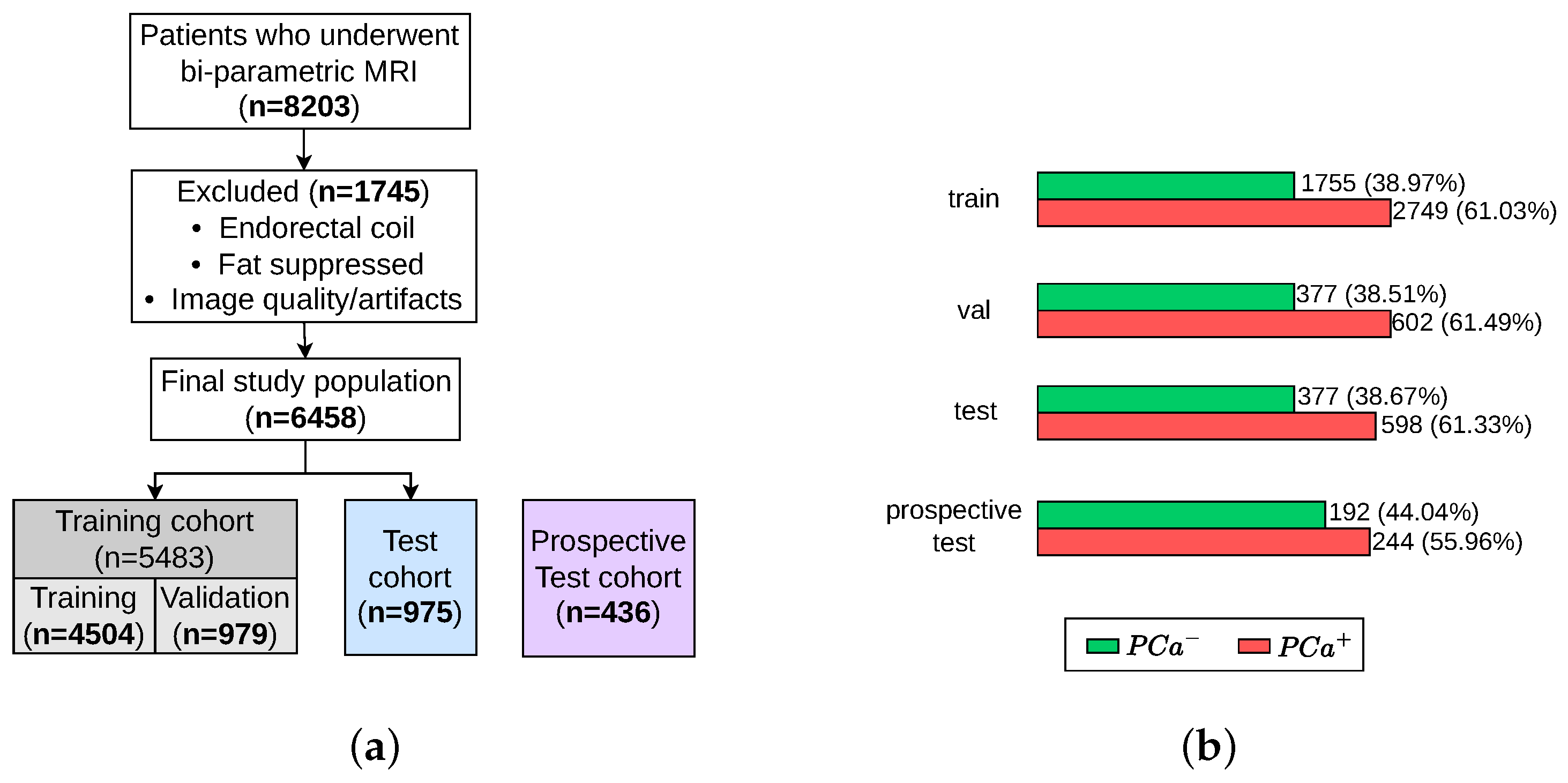Jimaging 11 00098 g005