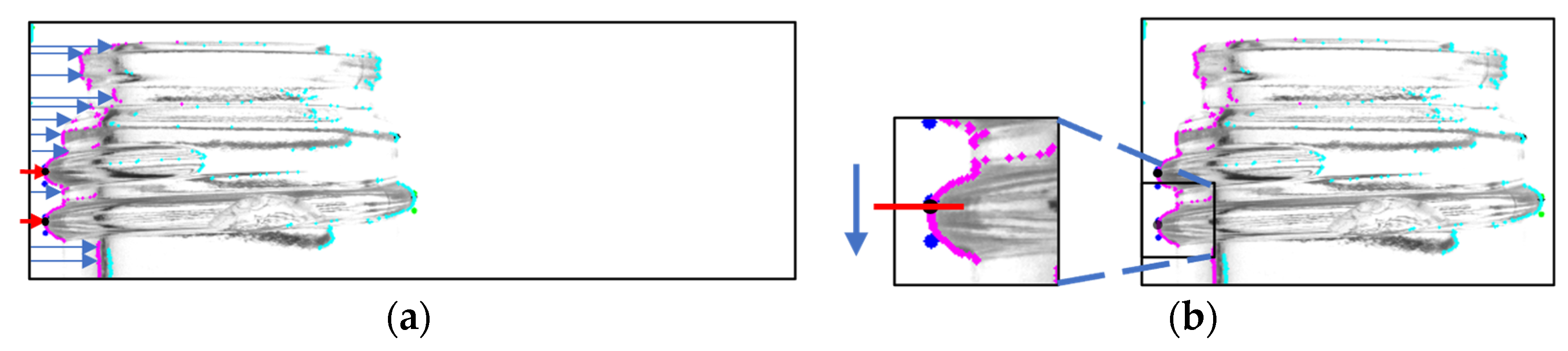 Jimaging 11 00105 g007