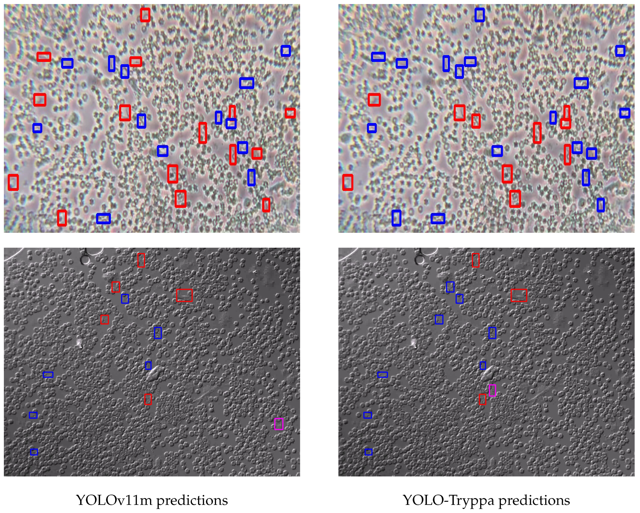 Jimaging 11 00117 g004